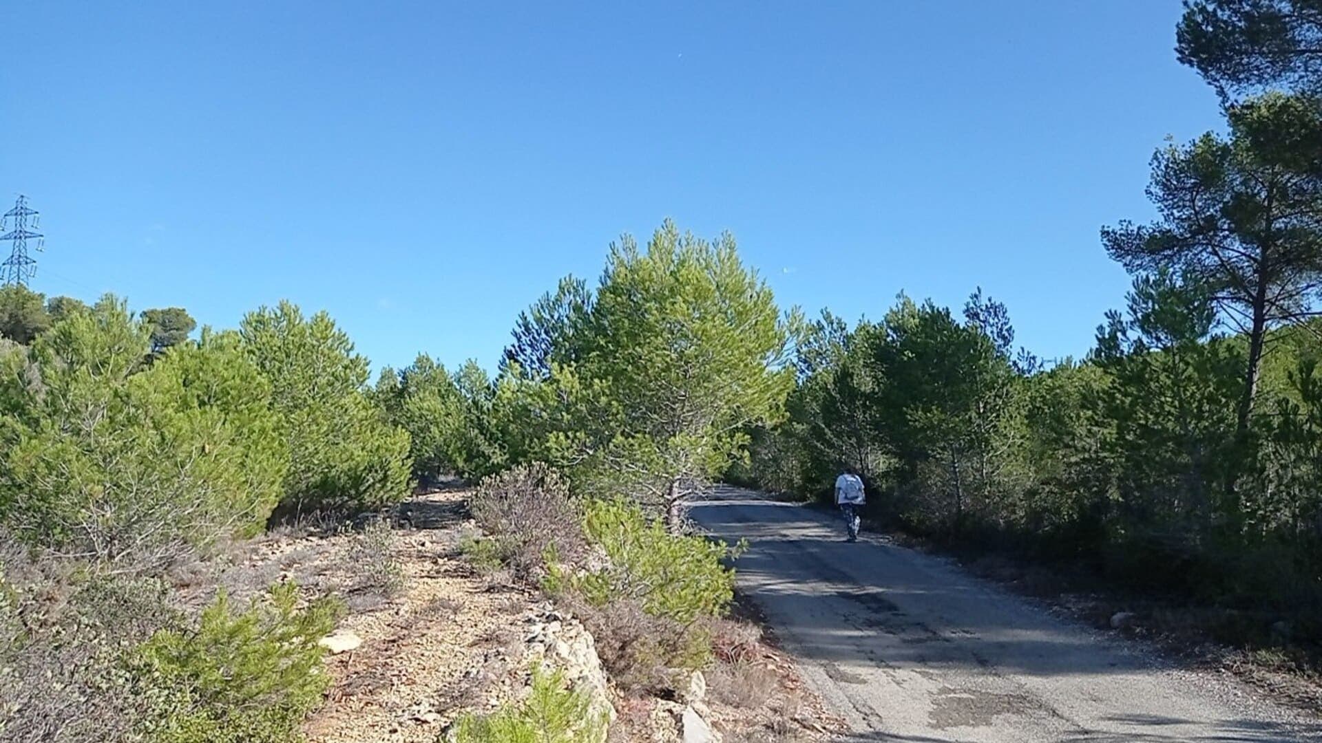 Sentier des vignerons - Boucle de la Venise Provençale_Martigues