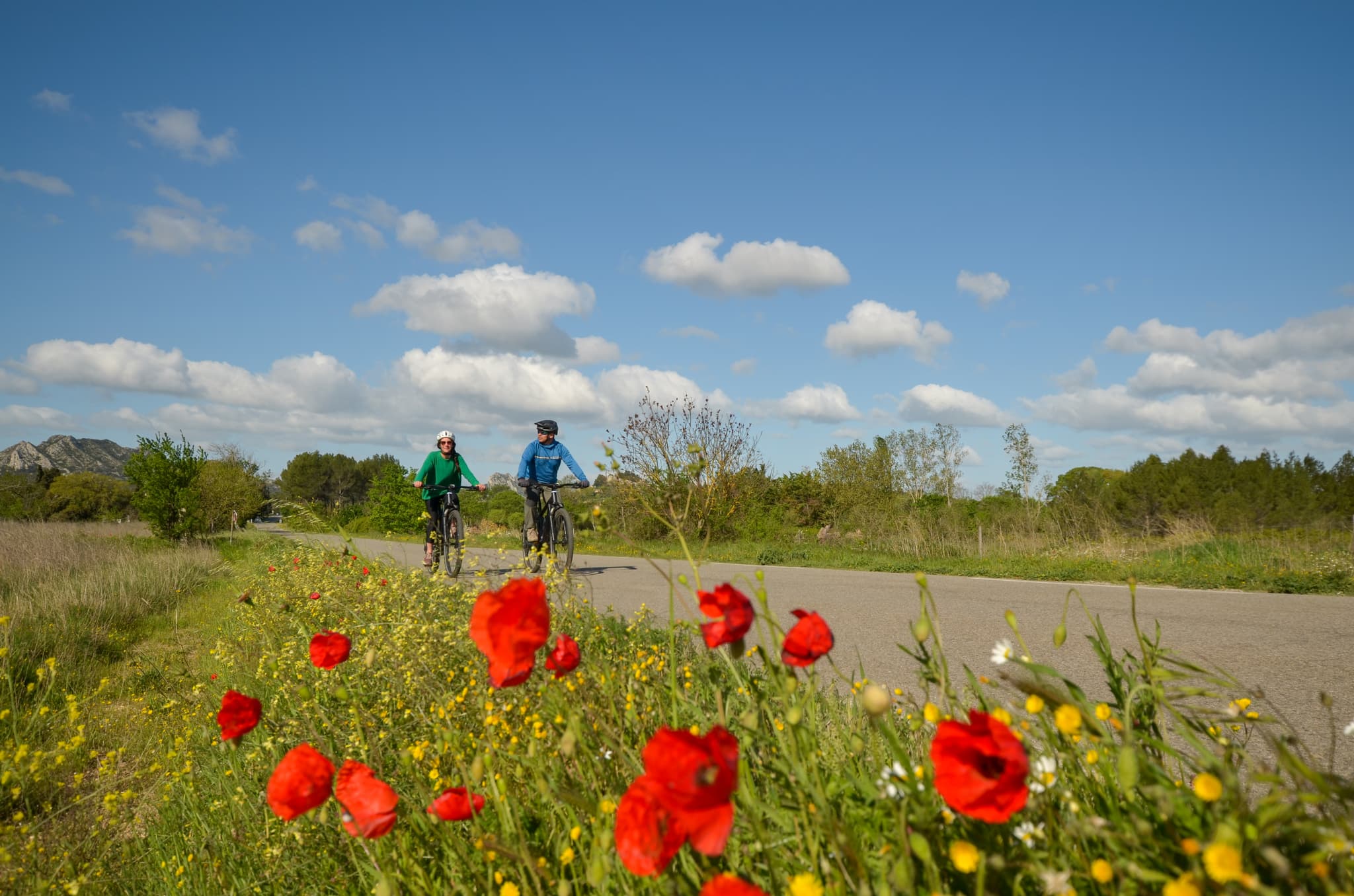 Balade à vélo : Les jardins de Mistral_Saint-Rémy-de-Provence