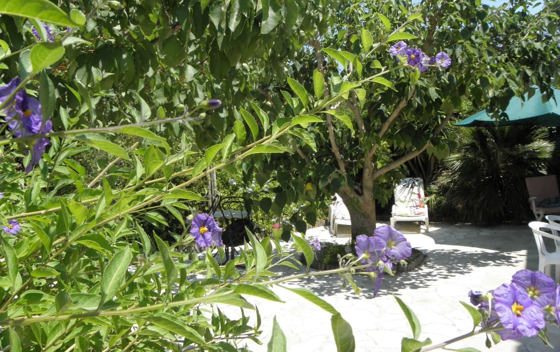 Villa Tigre_La Ciotat