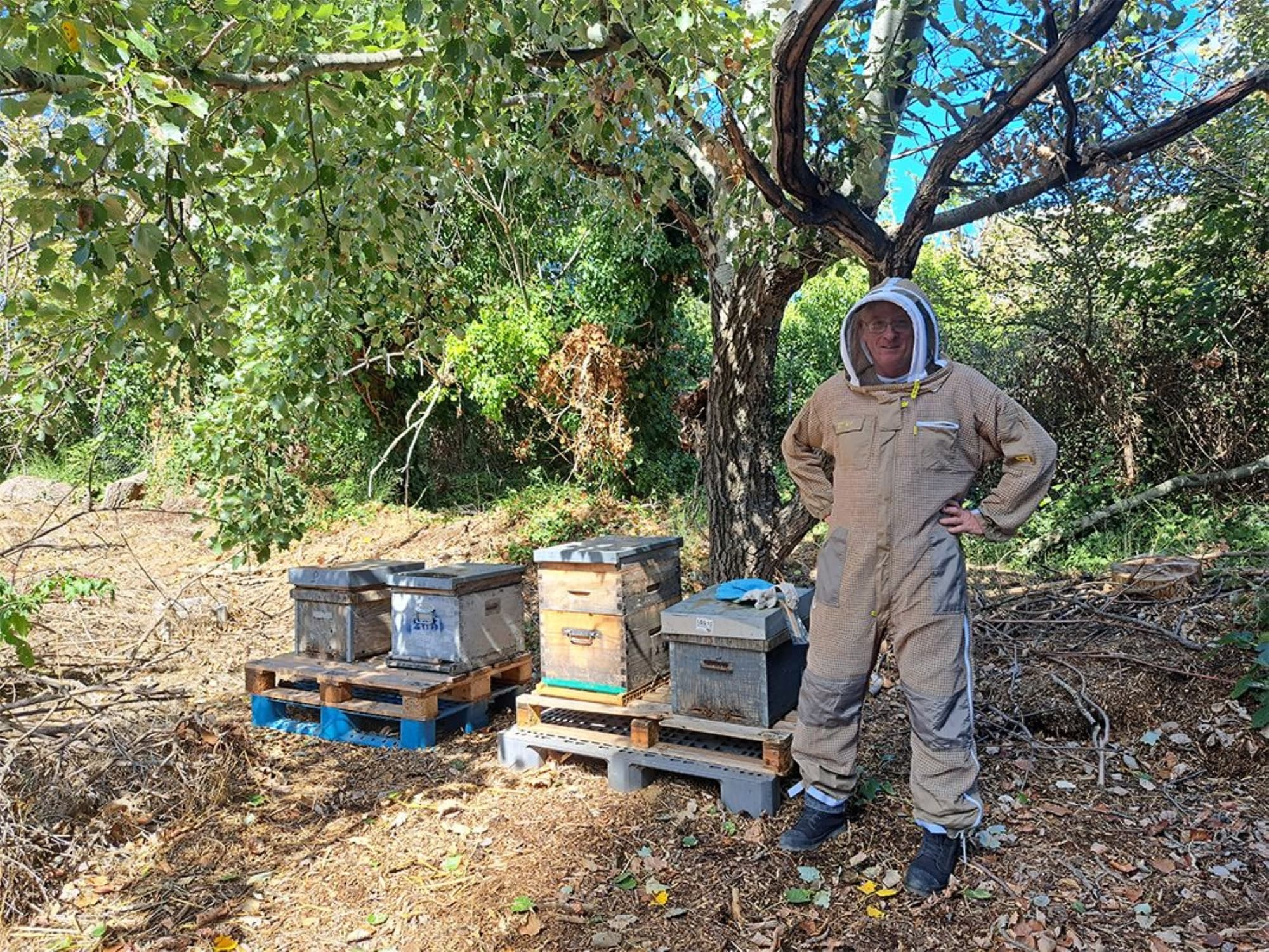 Compagnie des abeilles épicuriennes_Allauch