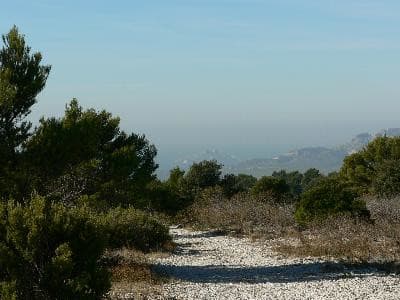 13VIS000245_1_WEB.jpg