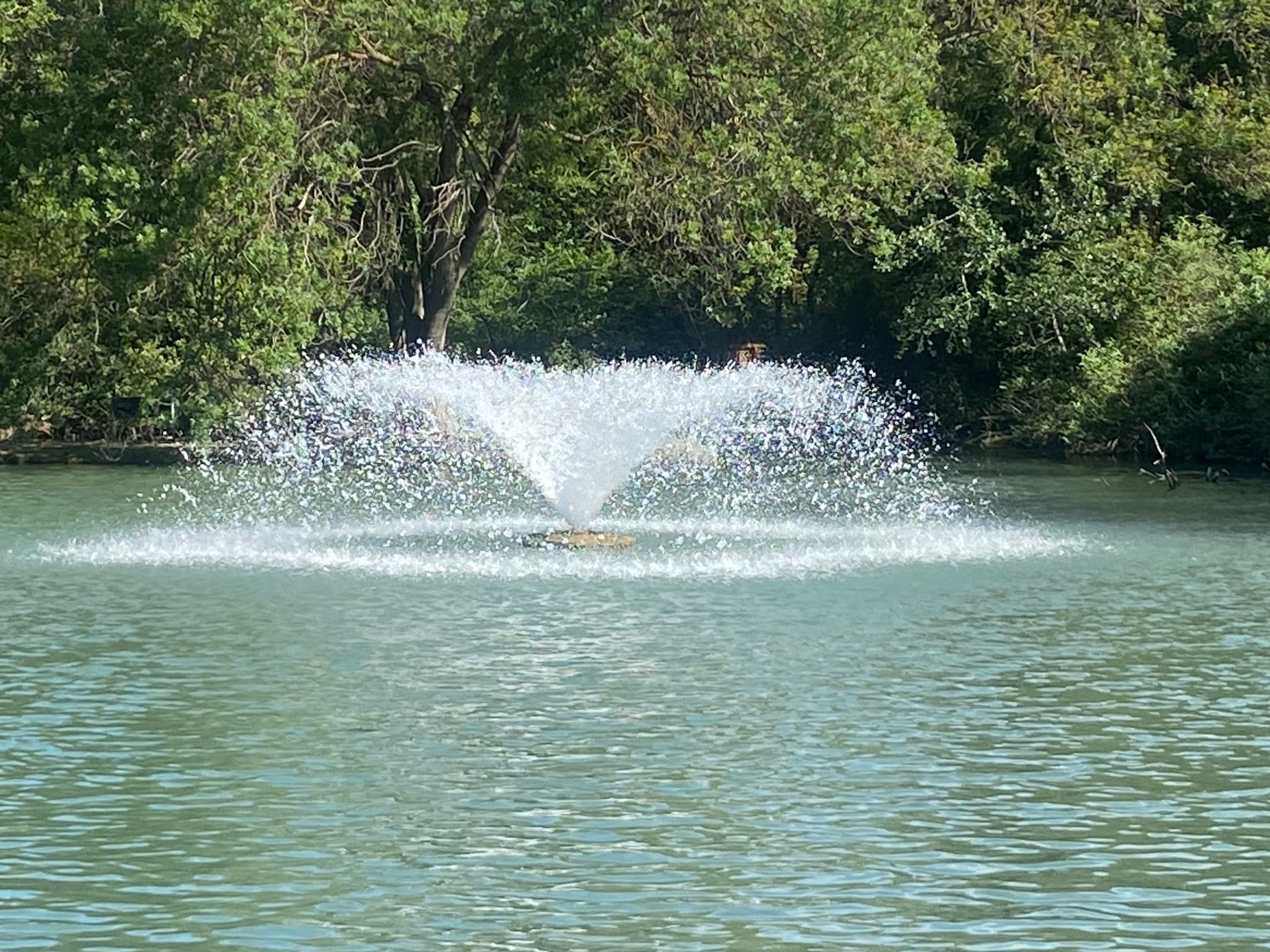 Le jardin de Gaston