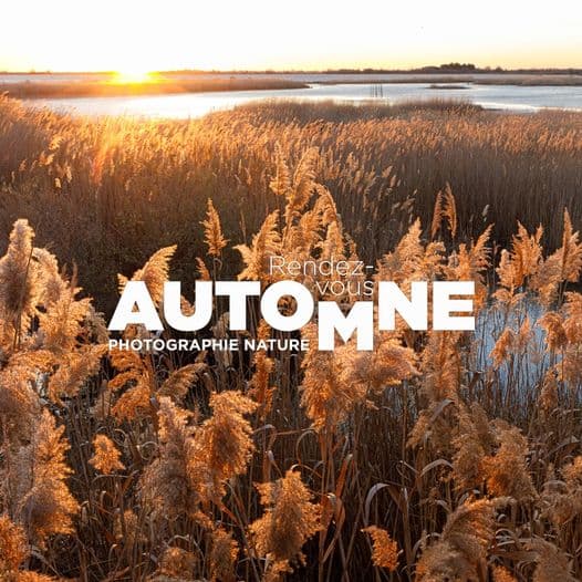 Rendez-vous Automne - Photographie Nature