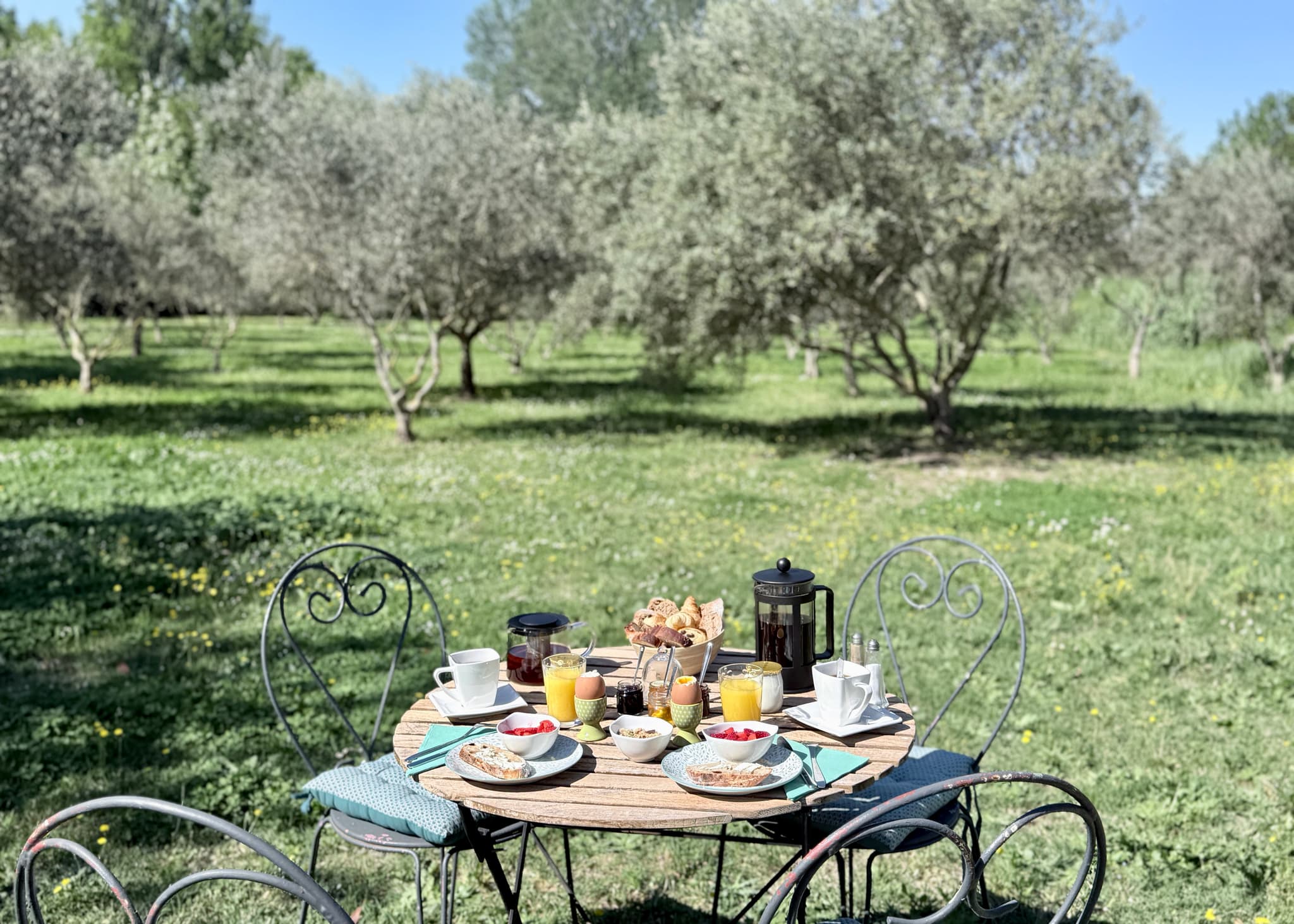 Domaine au Cœur des Alpilles_Maussane-les-Alpilles