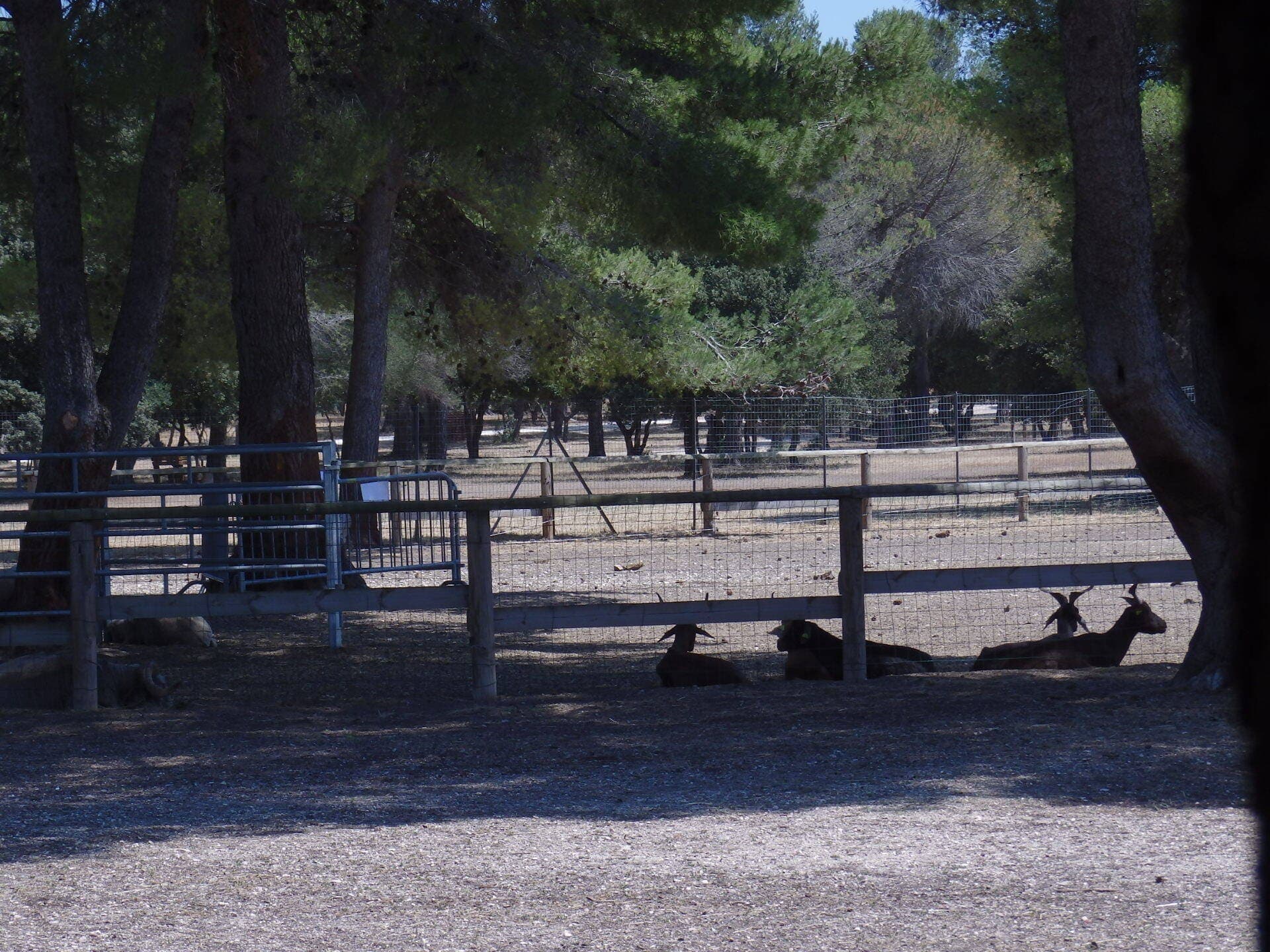 Grand Parc de Figuerolles - Paul Lombard_Martigues