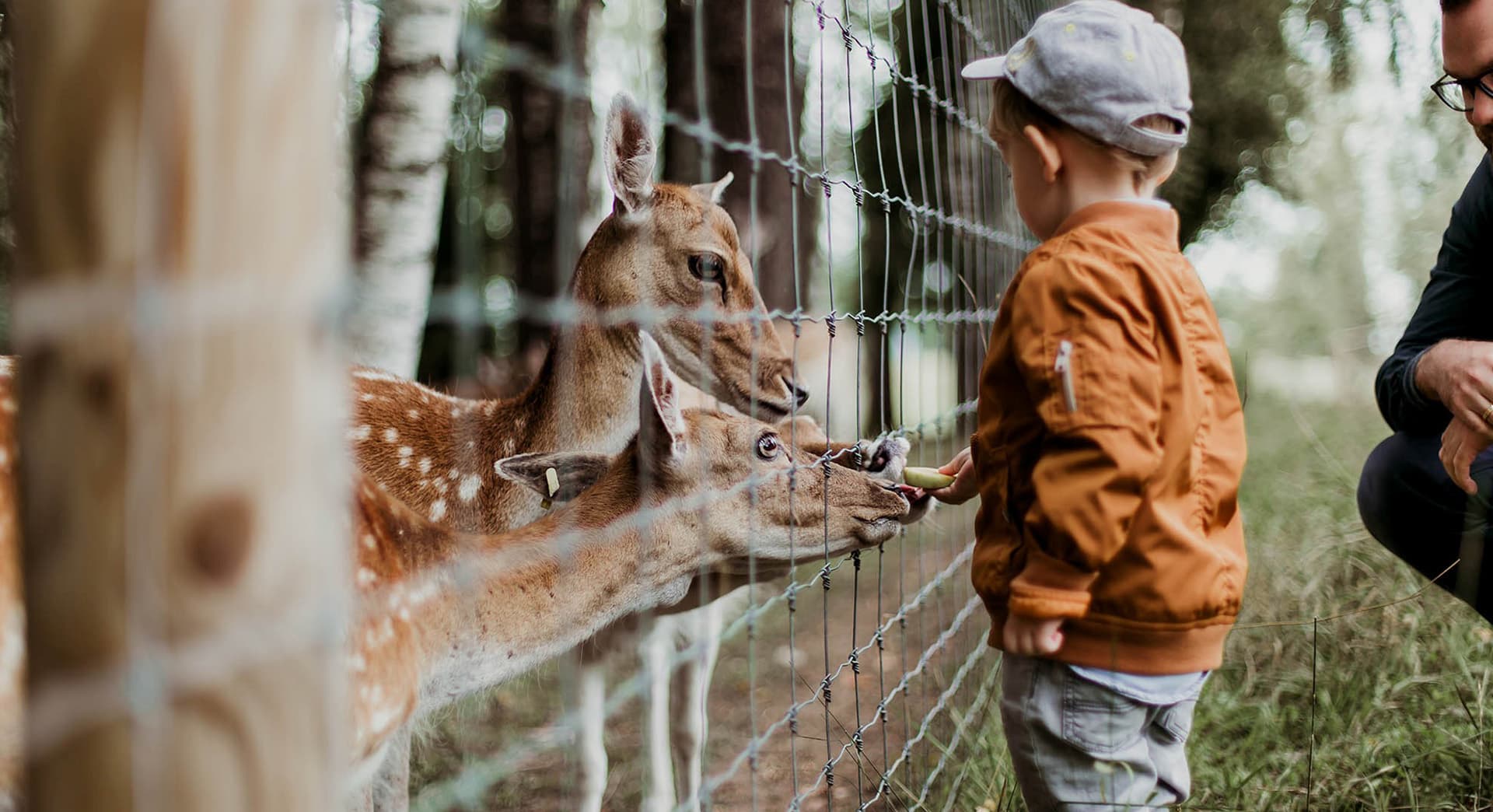 Parc Animalier - L'Arche de Méo_Mollégès