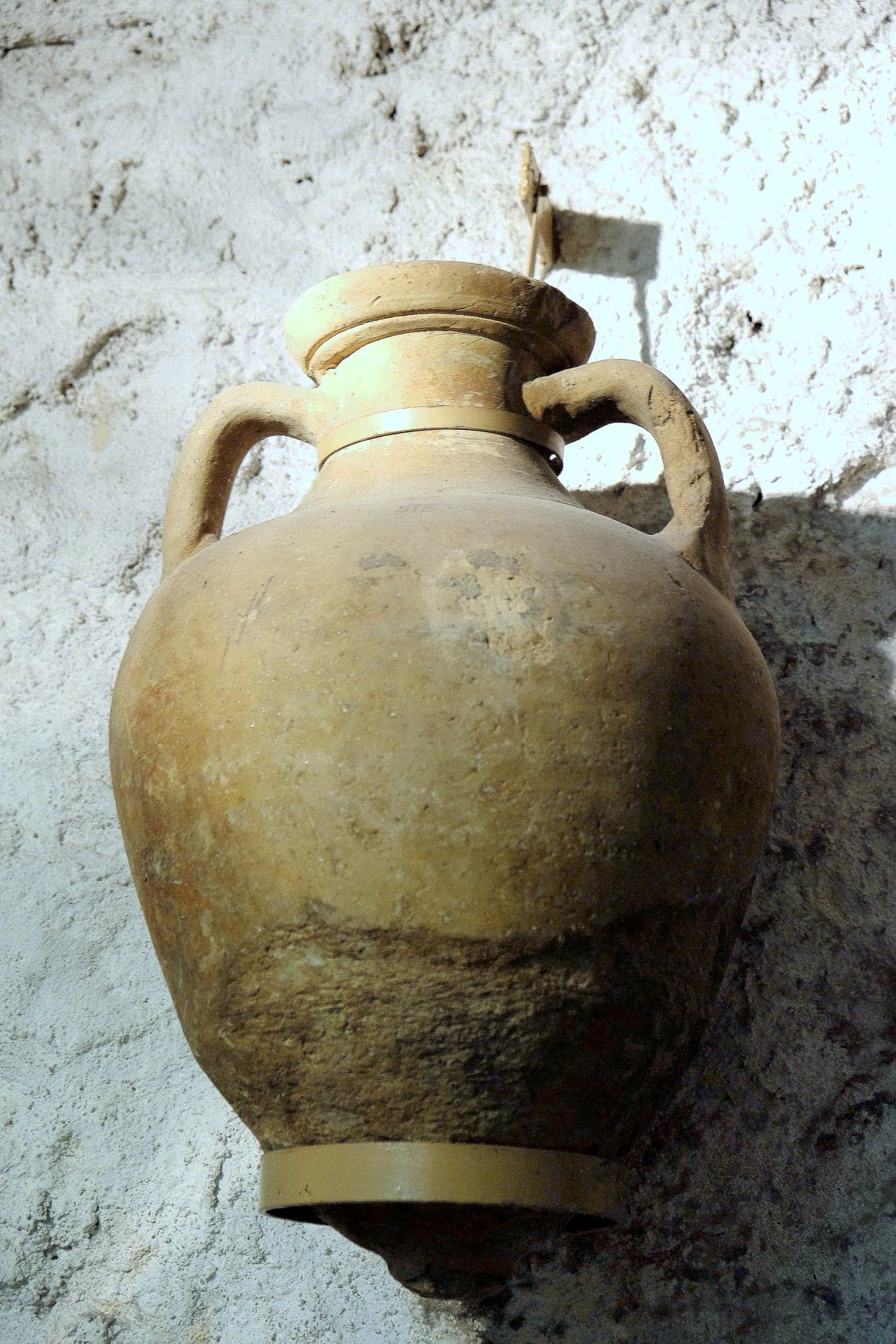 Musée Albert Reynaud