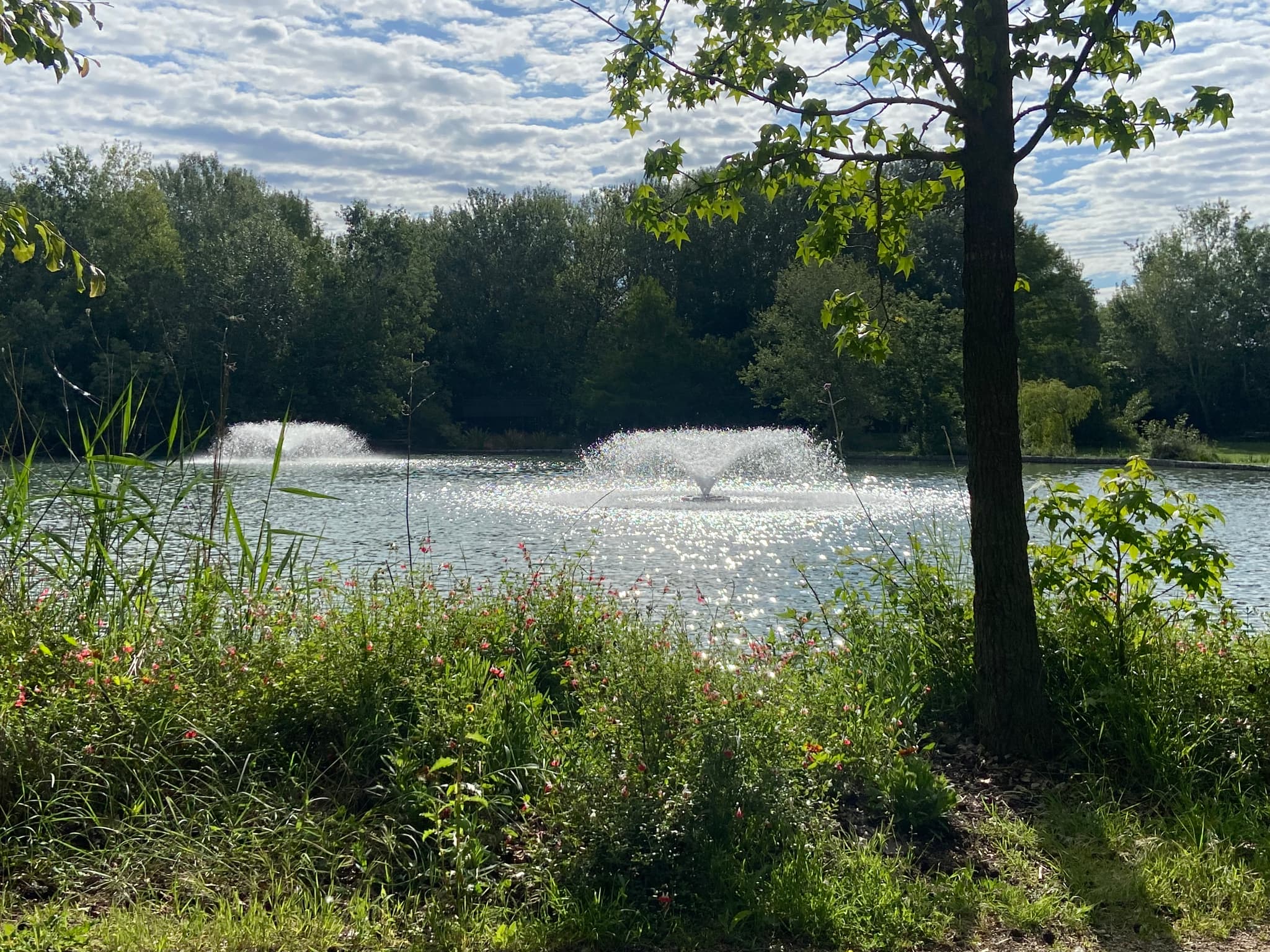 Le jardin de Gaston