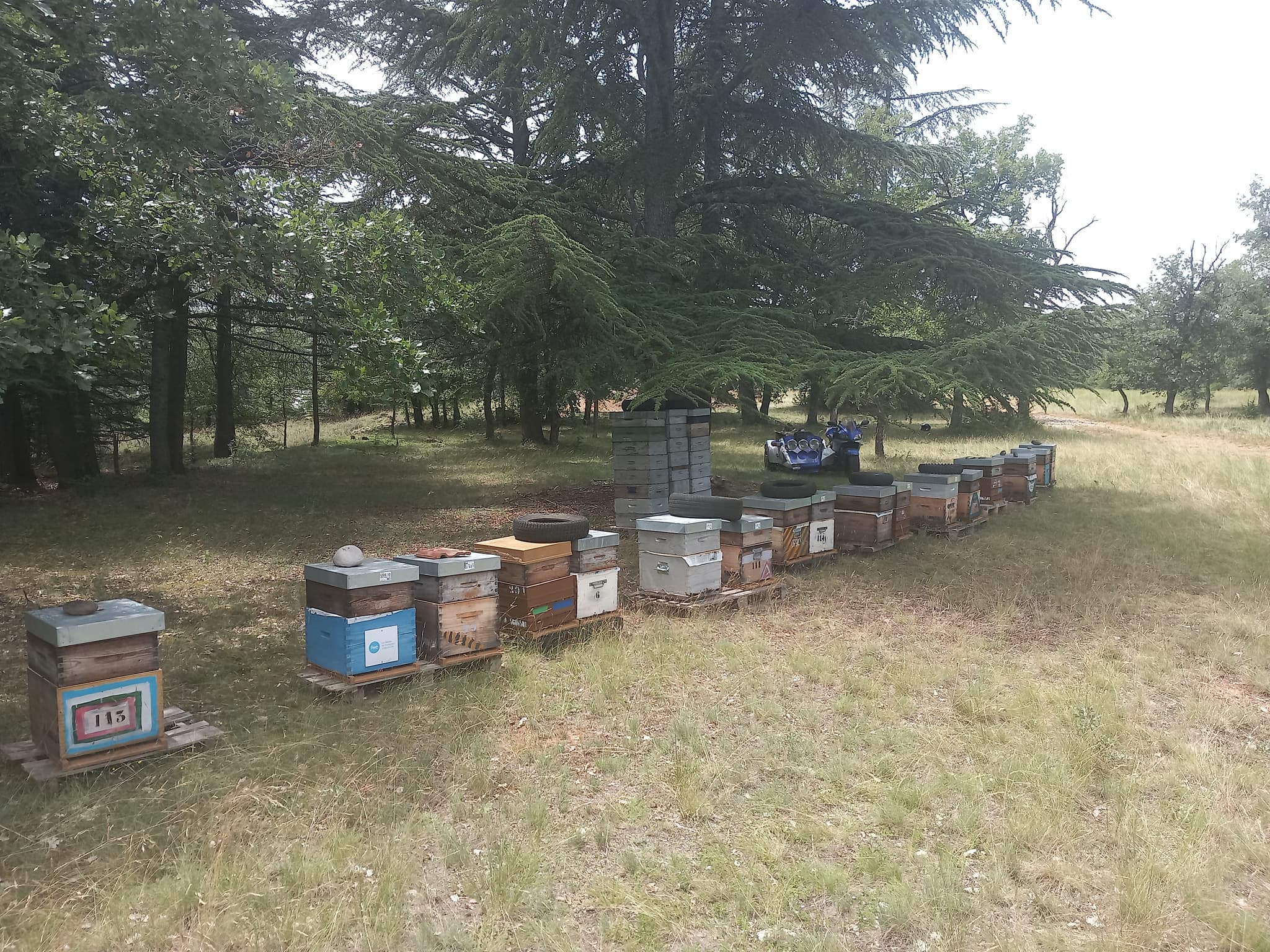 Compagnie des abeilles épicuriennes_Allauch