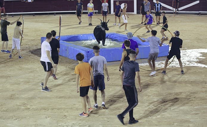 Toro piscine au Palio
