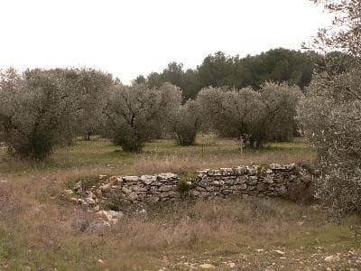 13VIS000883_1_WEB.jpg