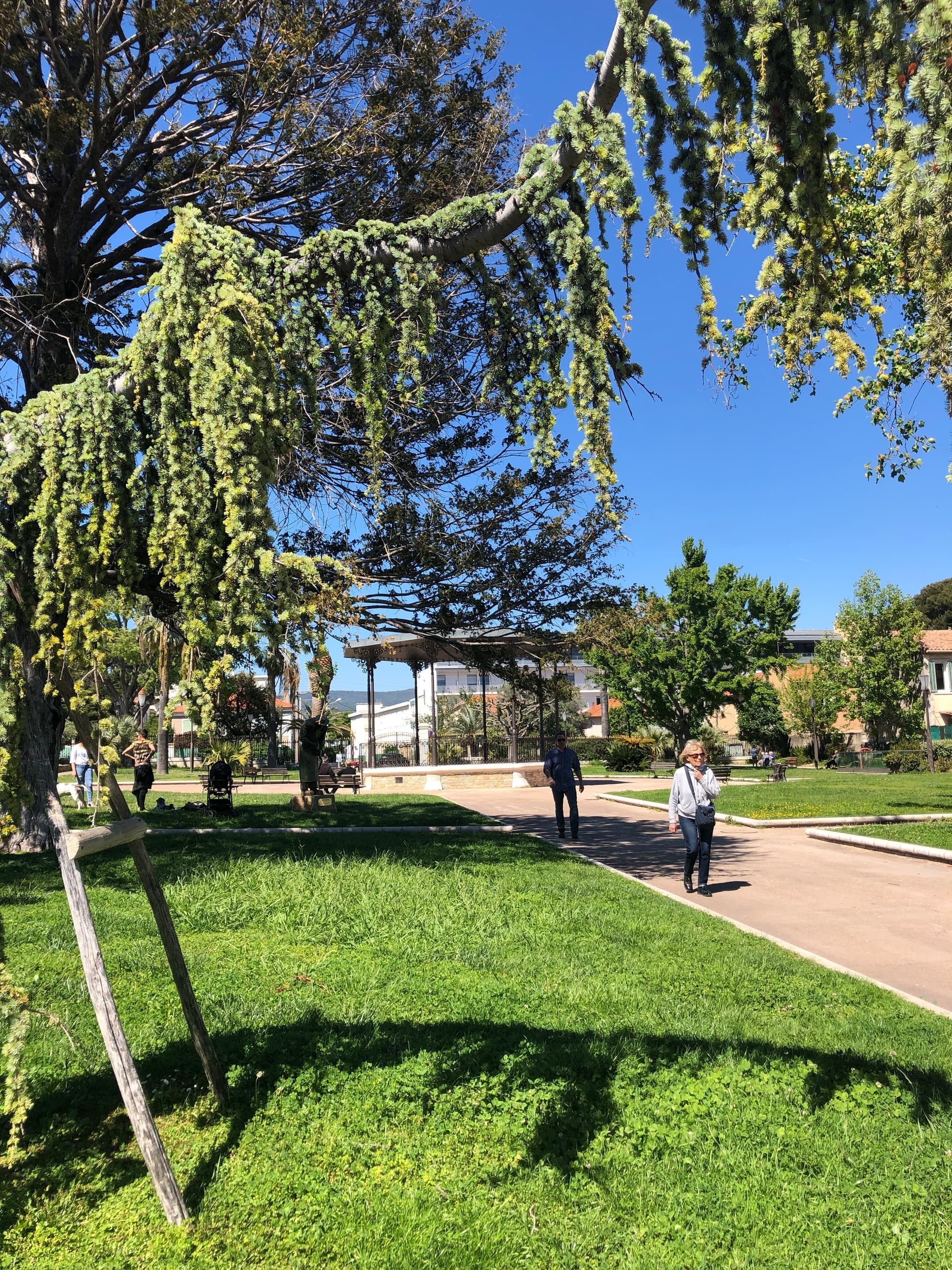 Jardin de la Ville
