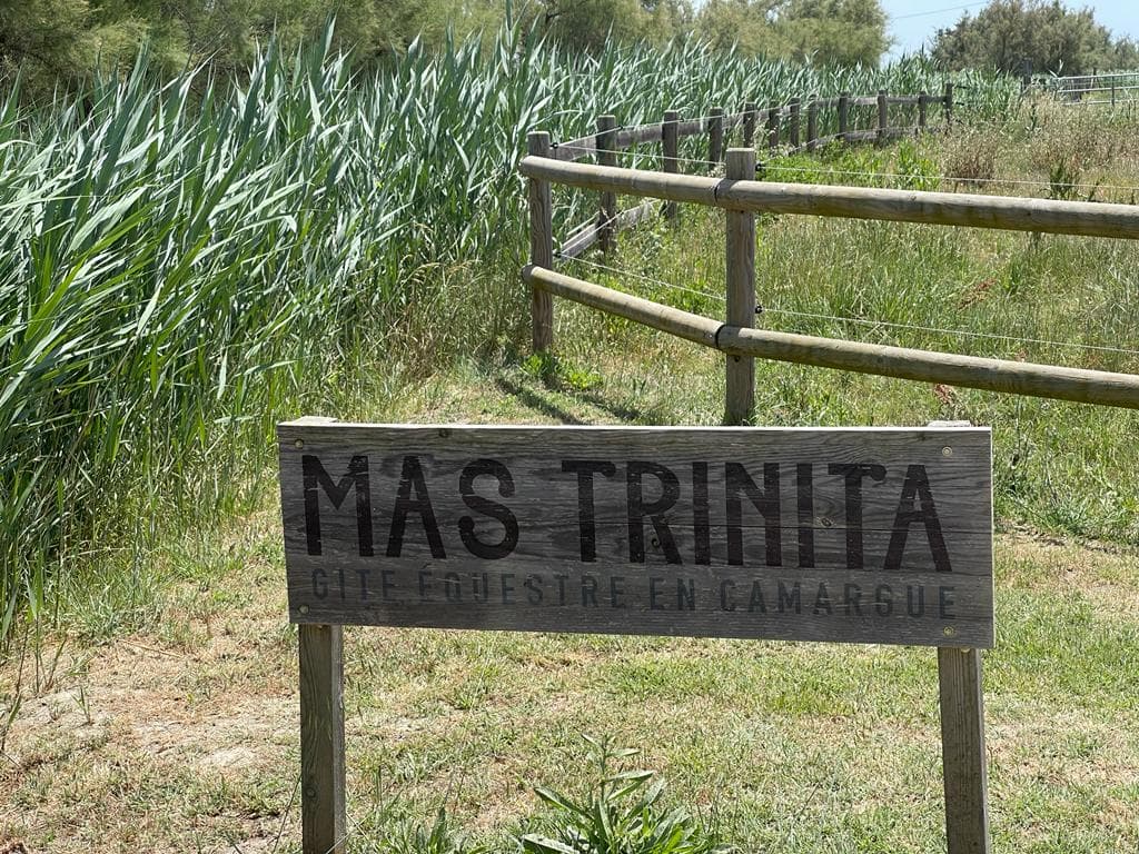 Mas Trinita