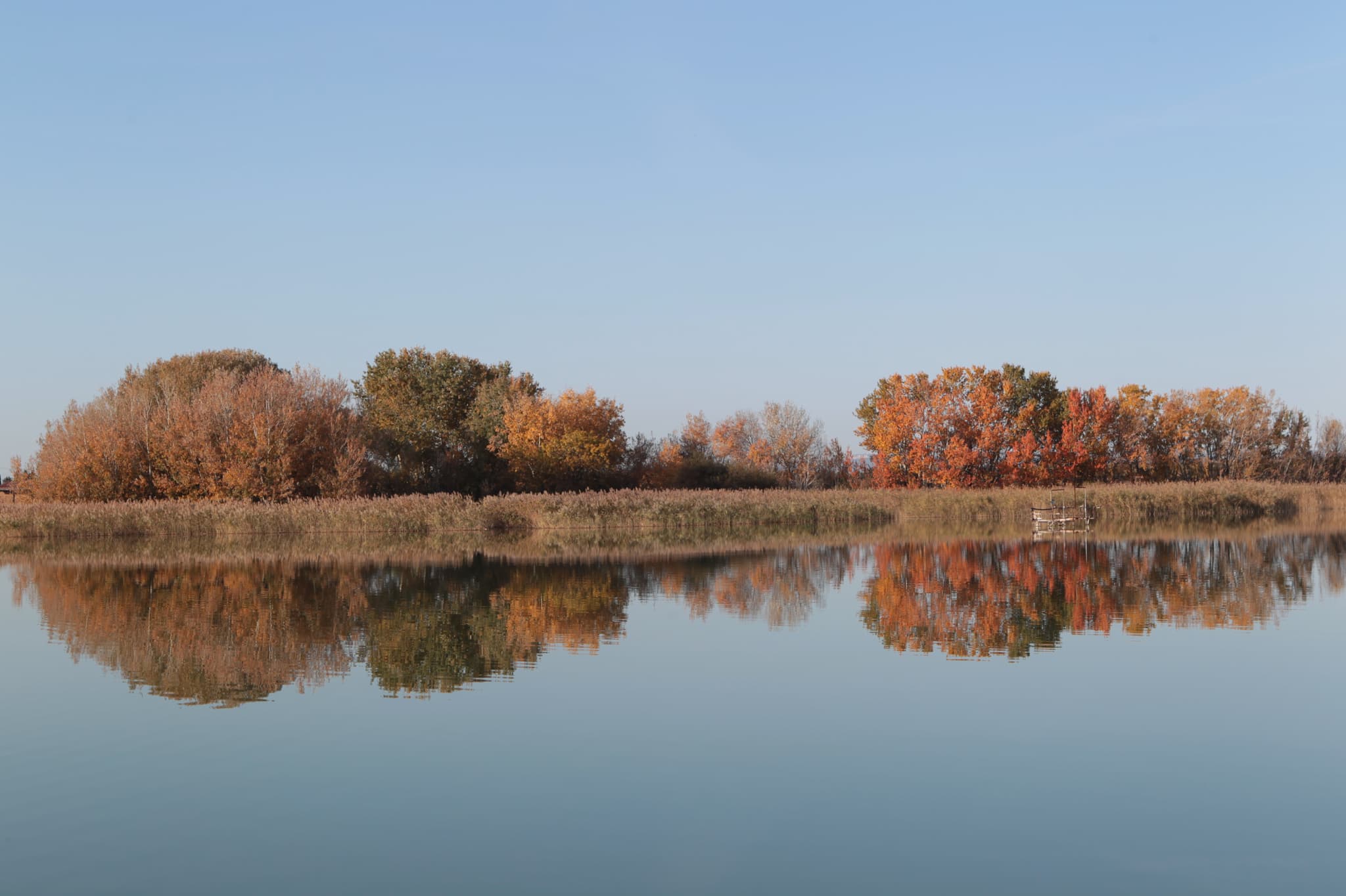 Etang d'Entressen