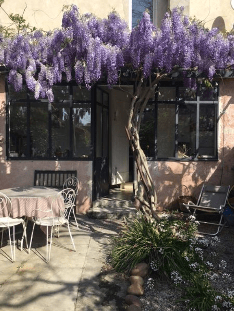 La Glycine