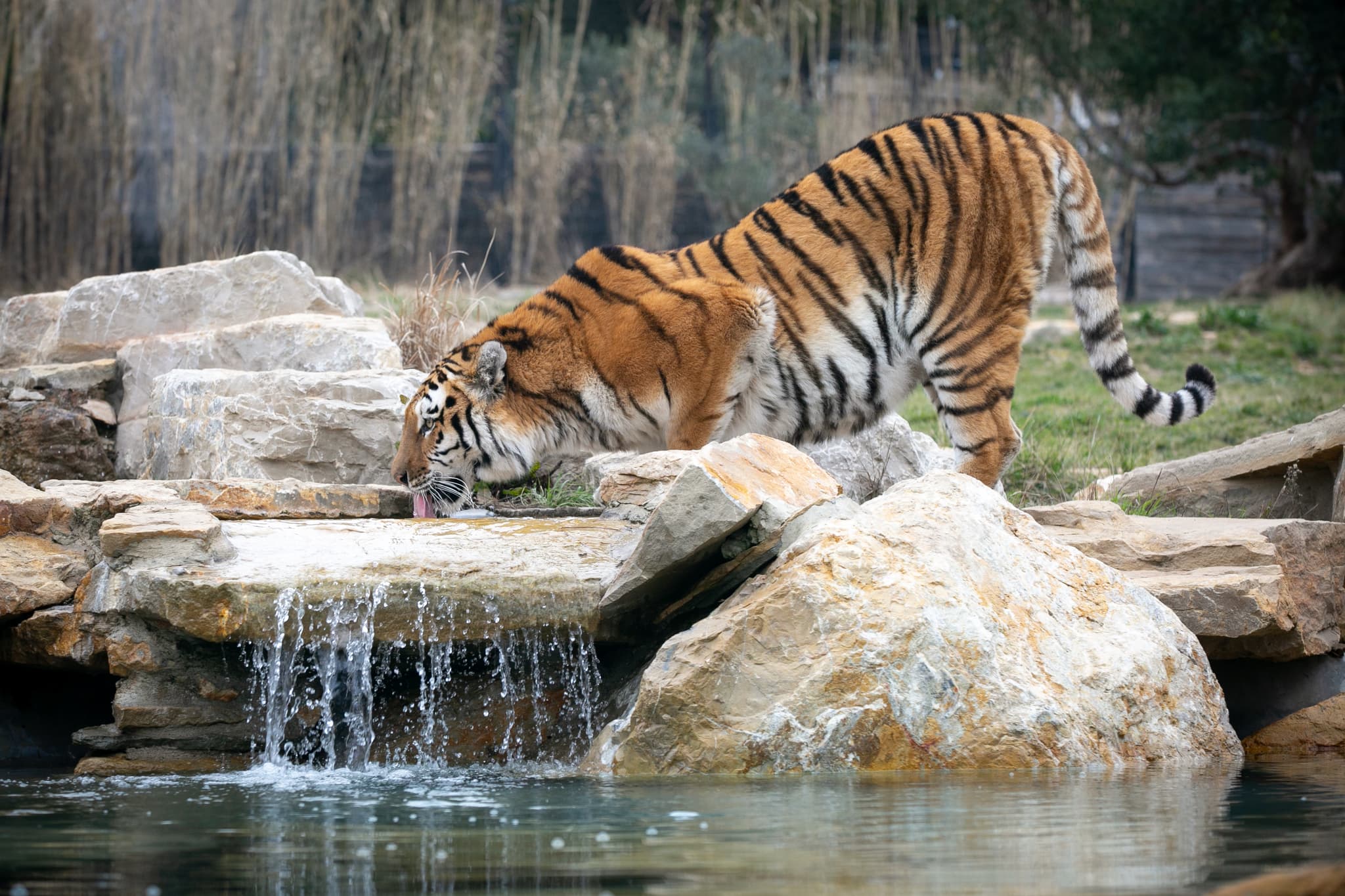 Parc Animalier La Barben