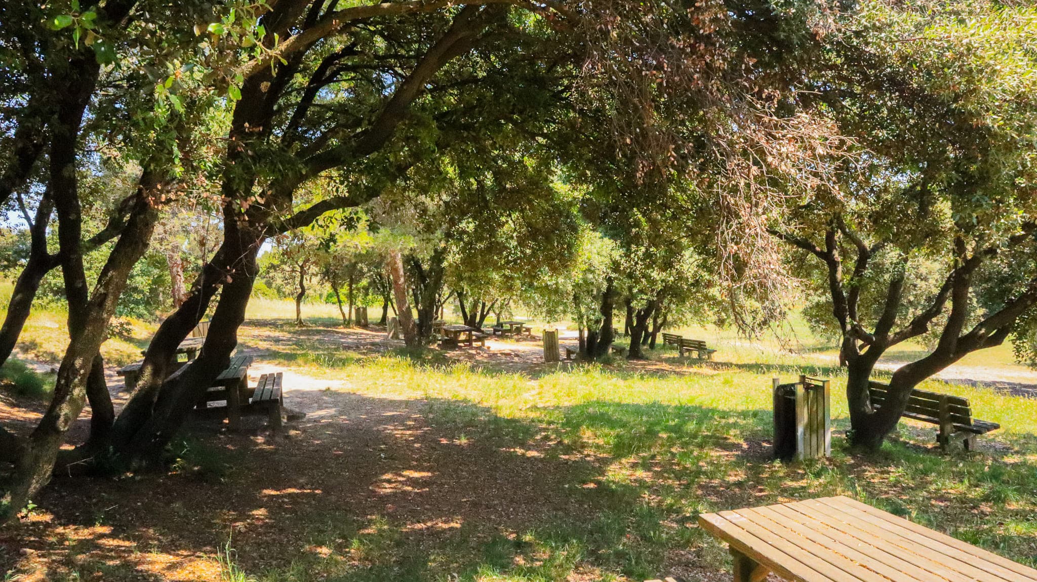Aire de pique-nique au Vallon de la Roquette_Châteaurenard