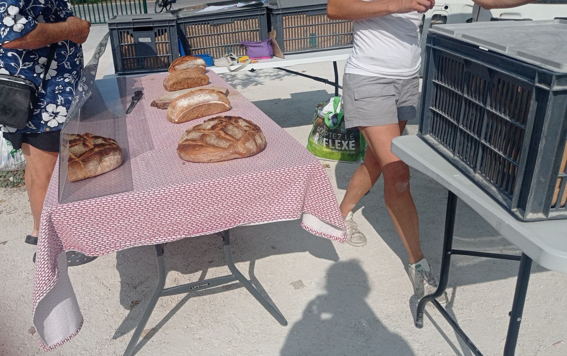 Marché de Saint-Julien-les-Martigues_Martigues