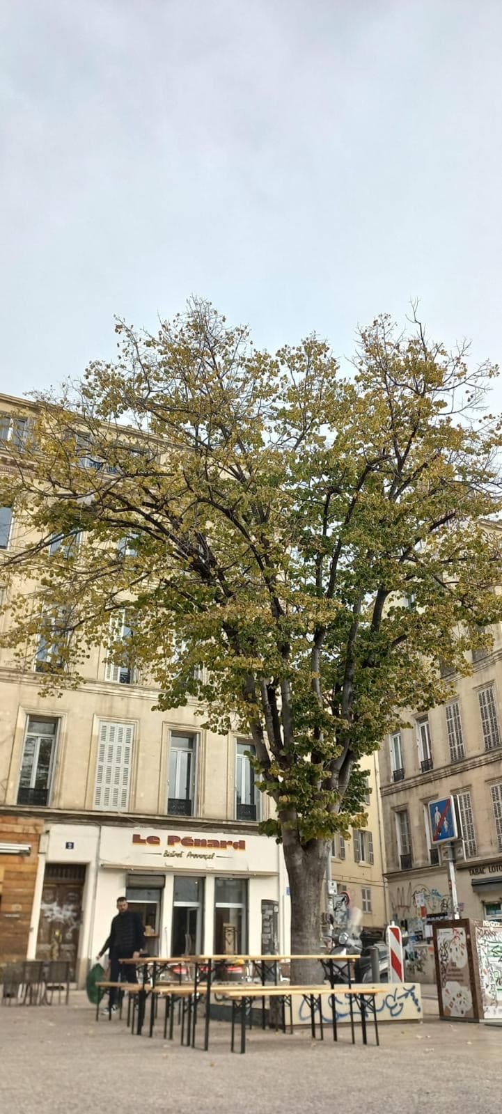 Le Pénard_Marseille