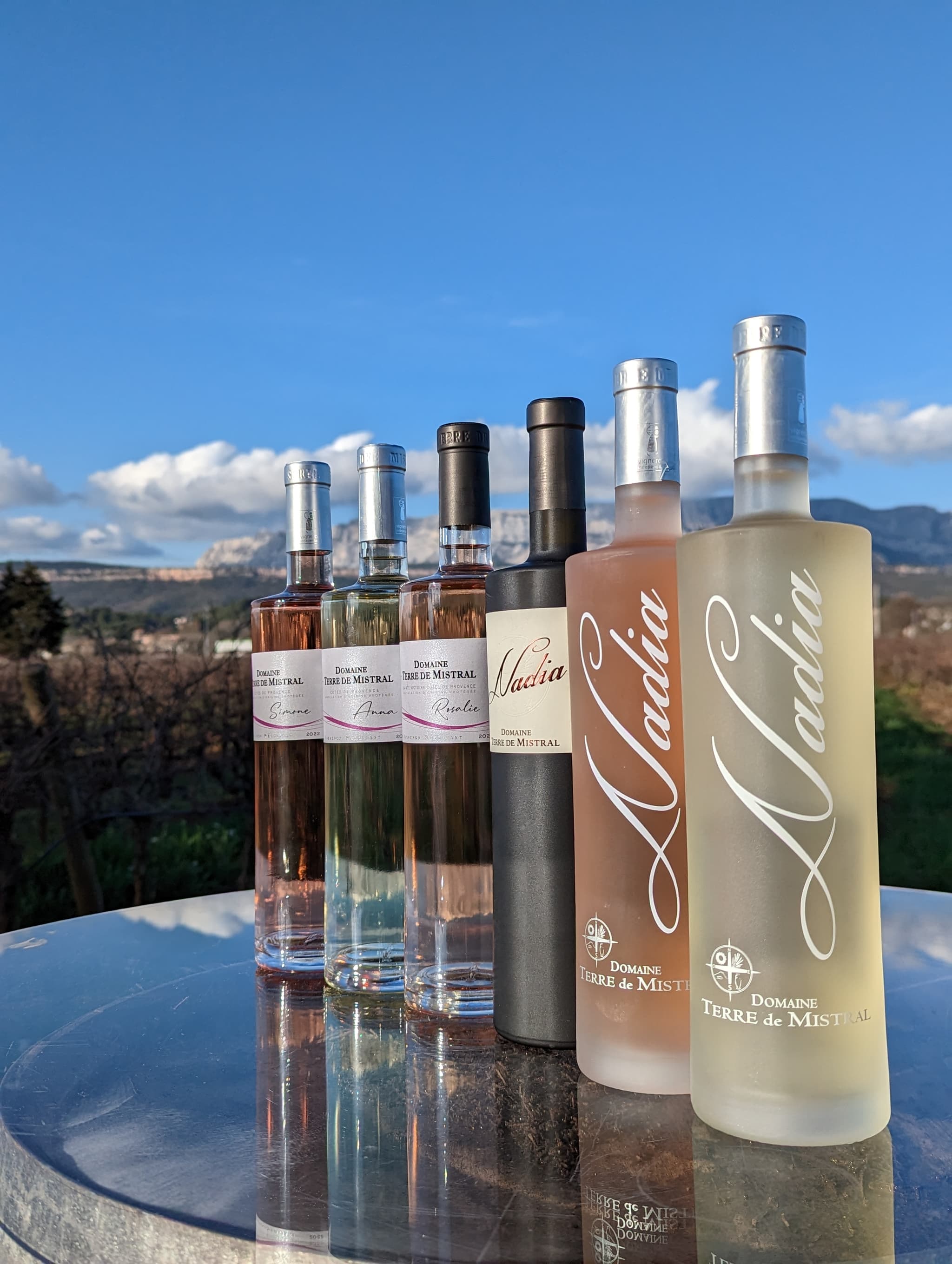 Domaine Terre de Mistral