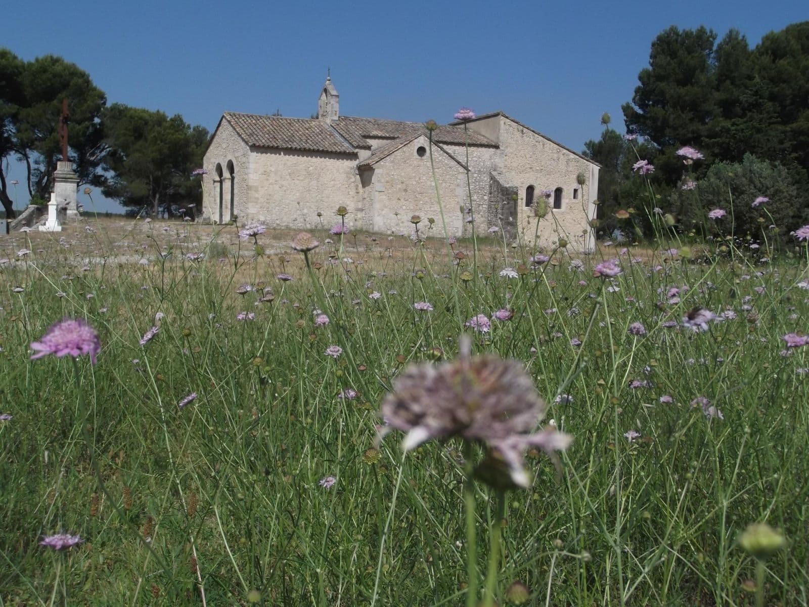 Noves de croix en croix, entre histoire et paysages_Noves