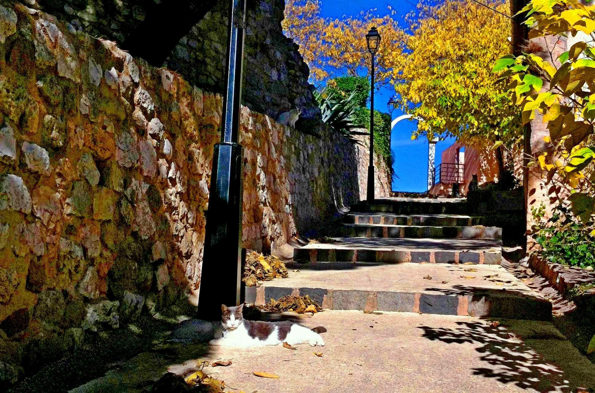 Découverte du Vieux Village