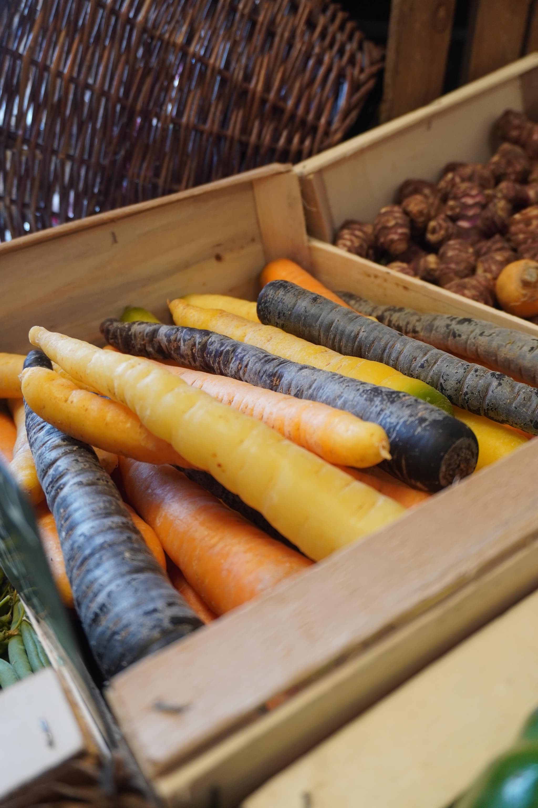 Pressoirs de Provence_Saint-Andiol