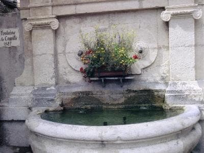 13T2001607_1_WEB.jpg