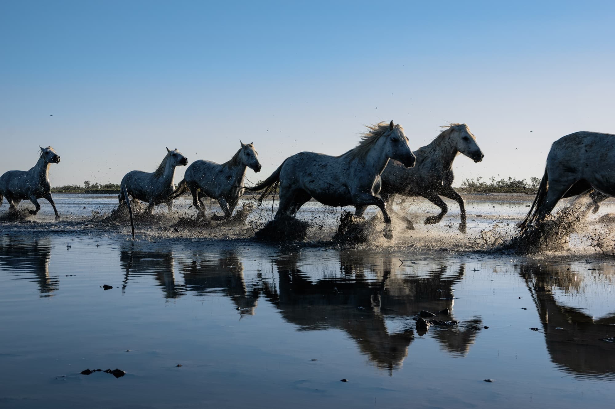 Séjour d'exception en Camargue : du 6 au 9 septembre_Saintes-Maries-de-la-Mer