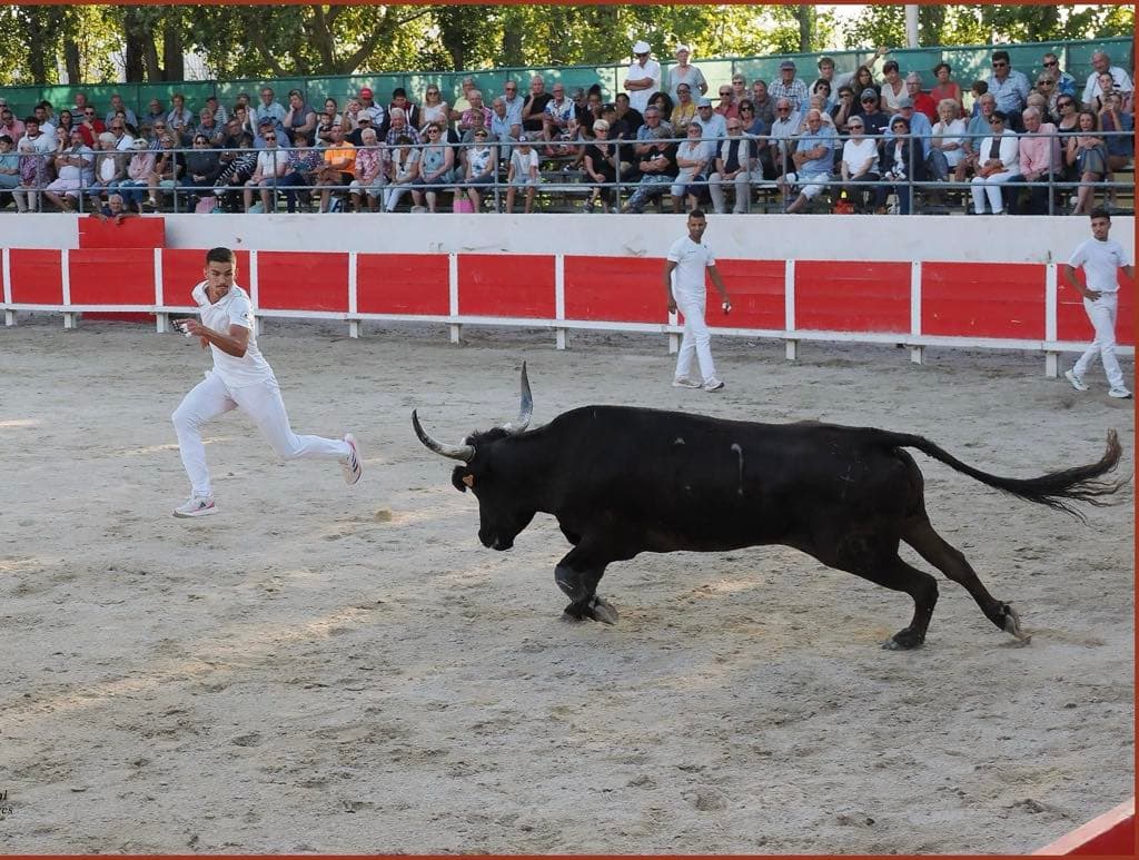 Arènes Régis Chauvet - Noves