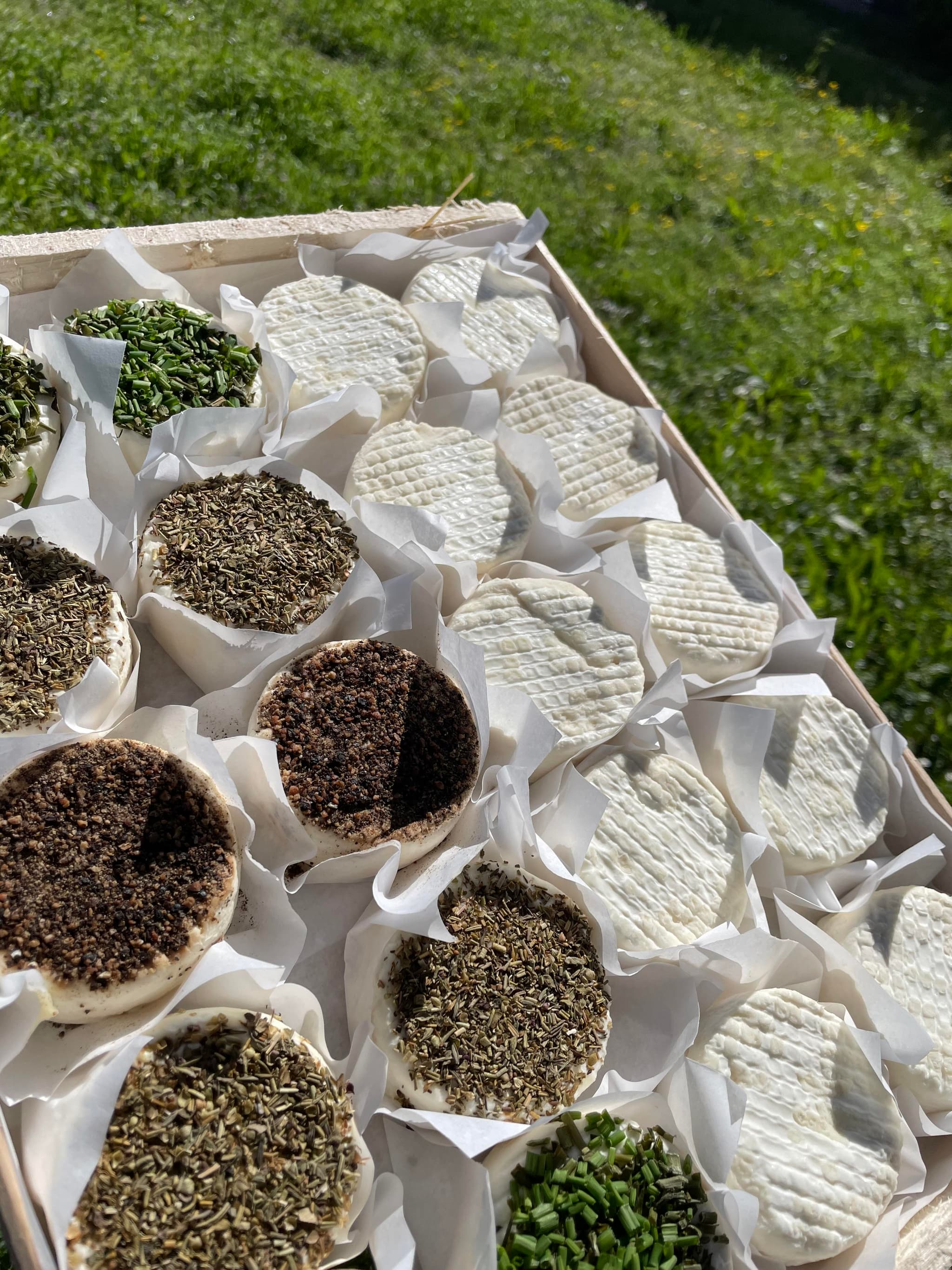 Pressoirs de Provence_Saint-Andiol