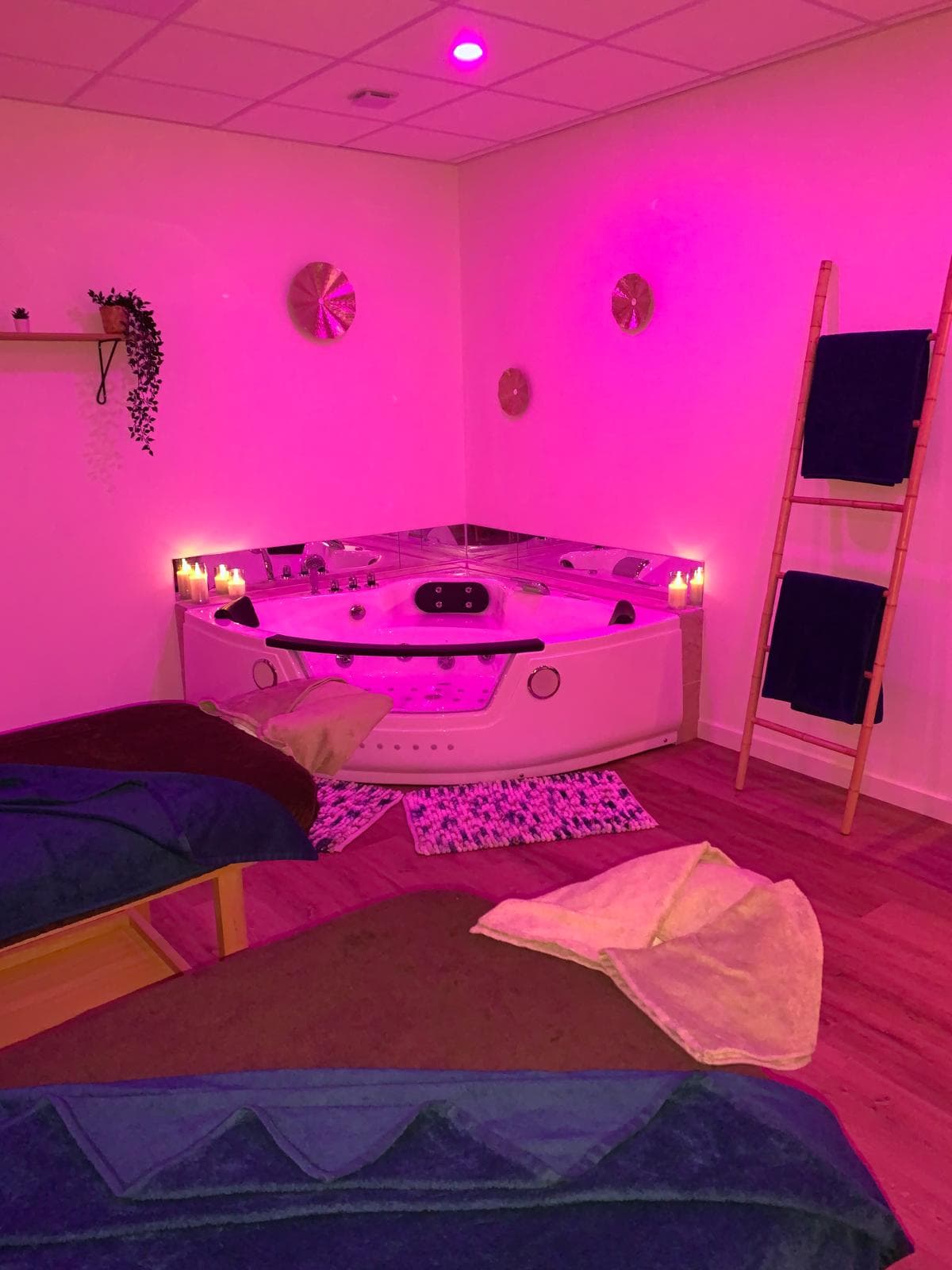 IRIS ET WILLY SPA_Sénas
