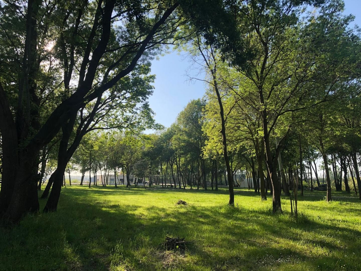 Domaine des Eucalyptus