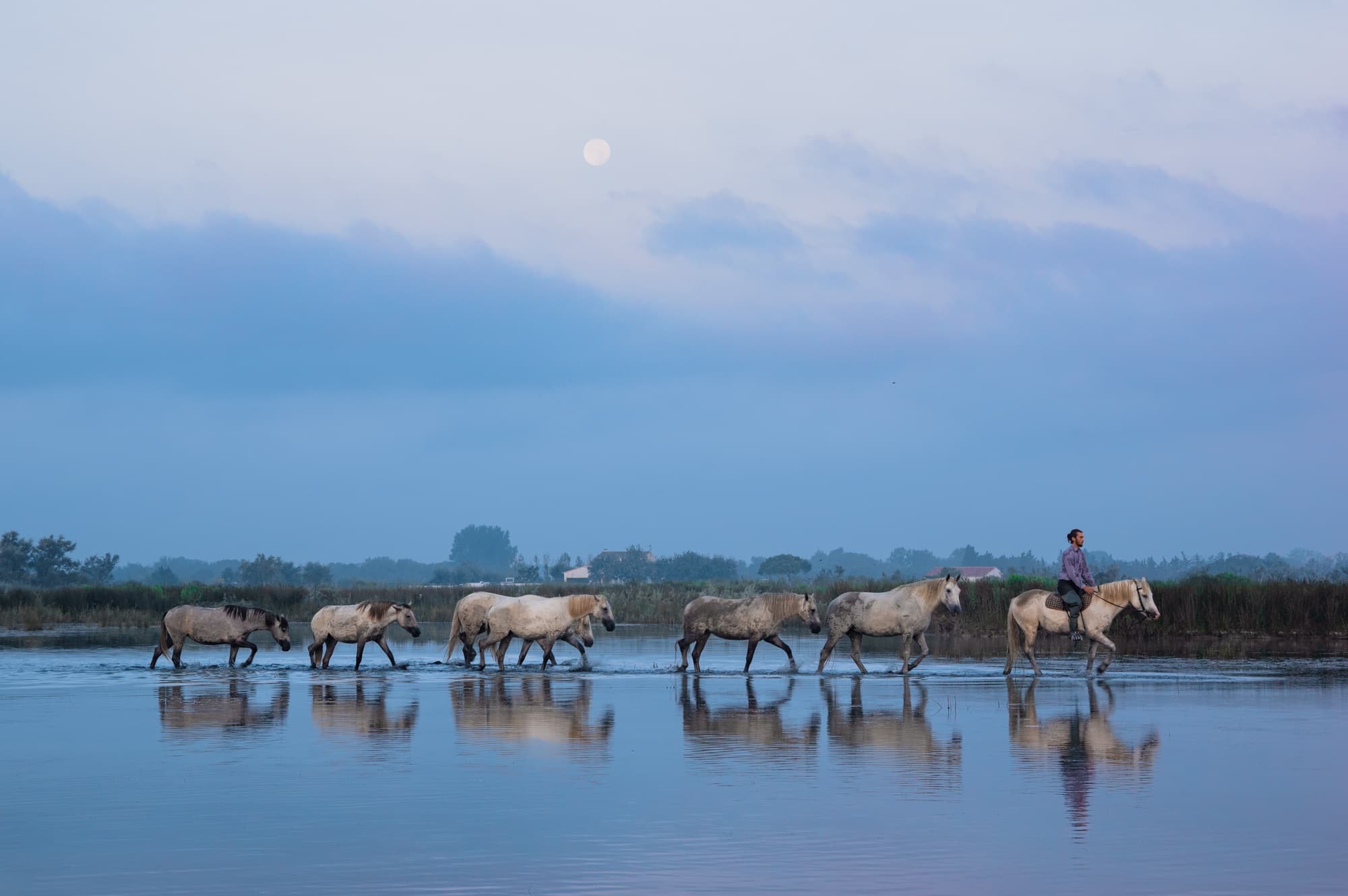 Séjour d'exception en Camargue : du 6 au 9 septembre_Saintes-Maries-de-la-Mer