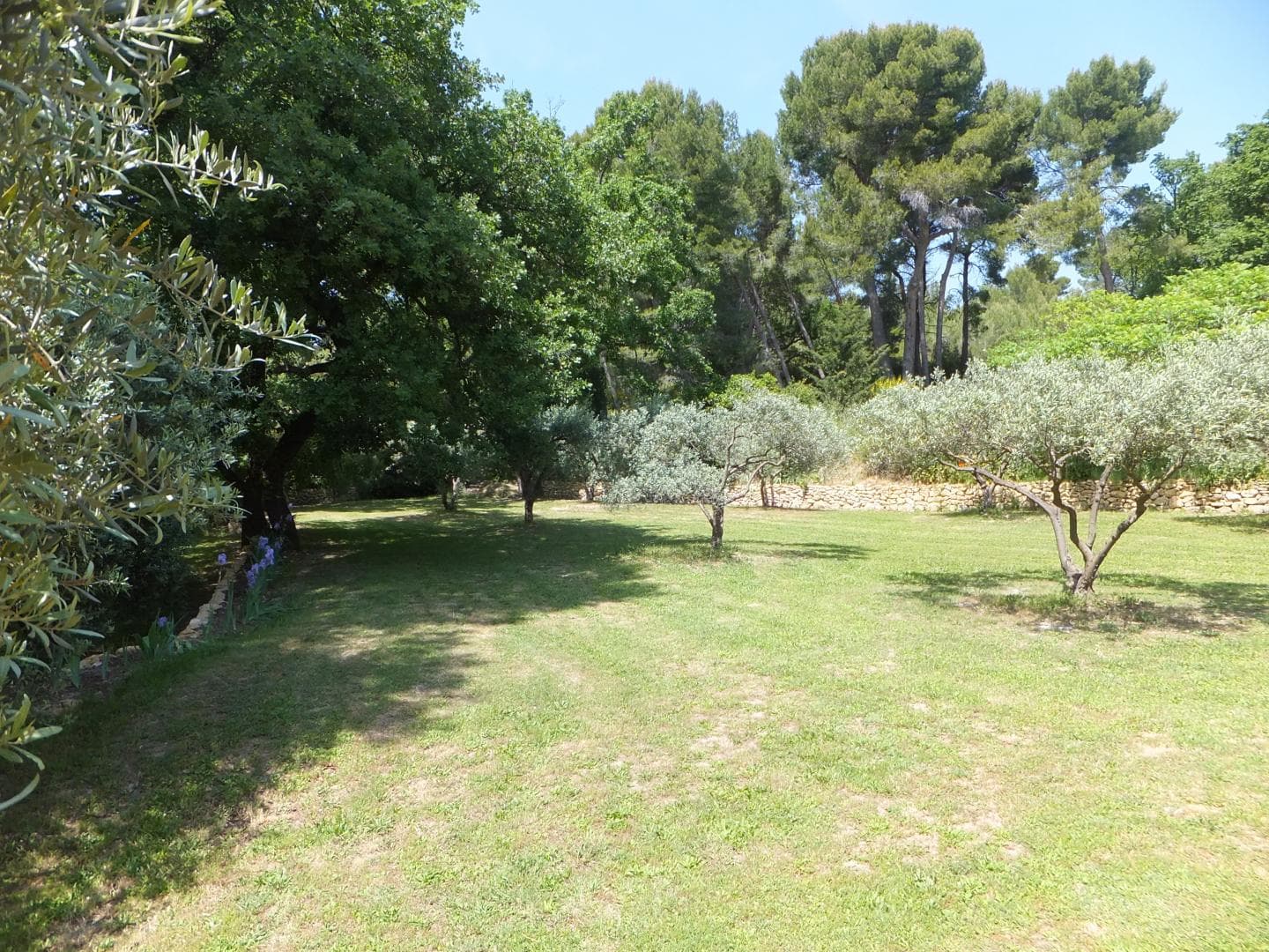 Le Clos Des Oliviers