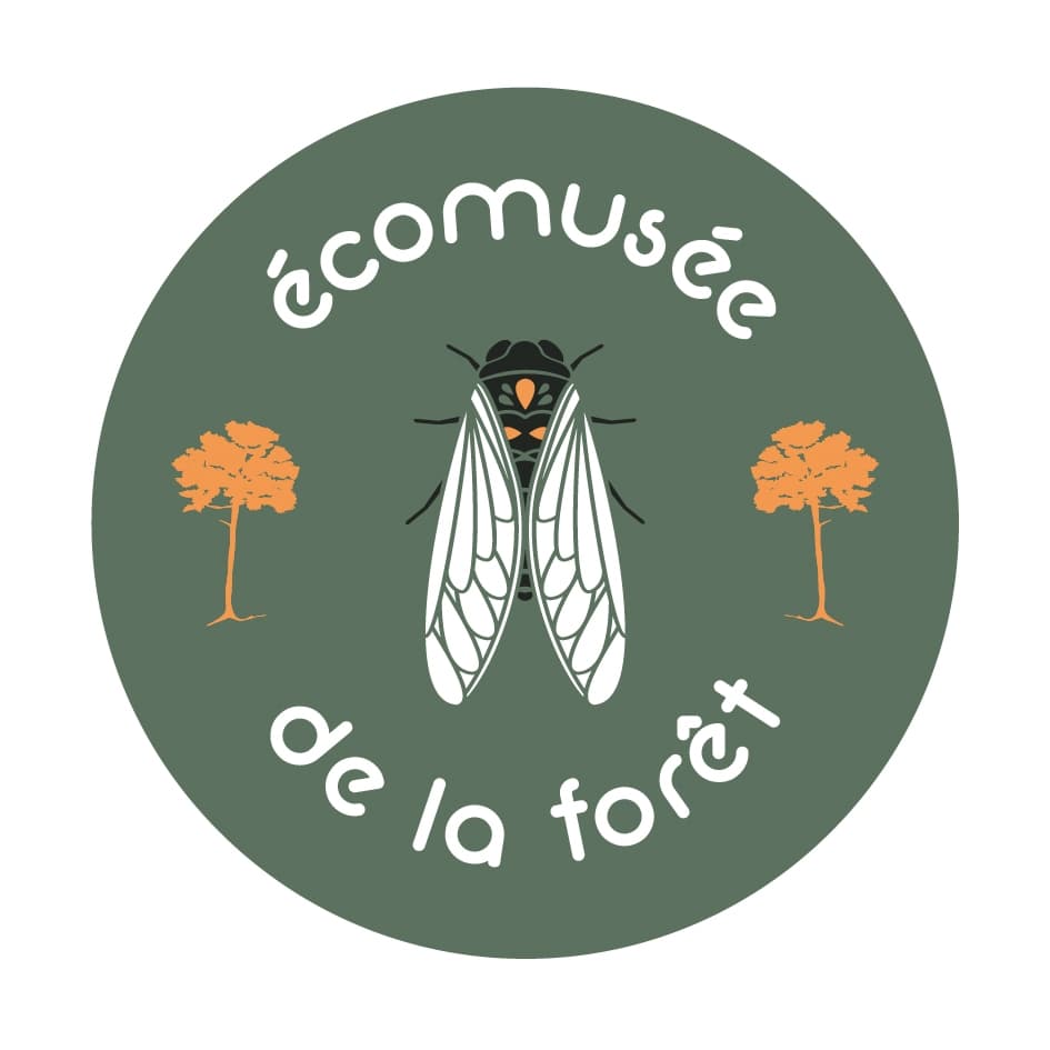Logo ecomusee de la forêt