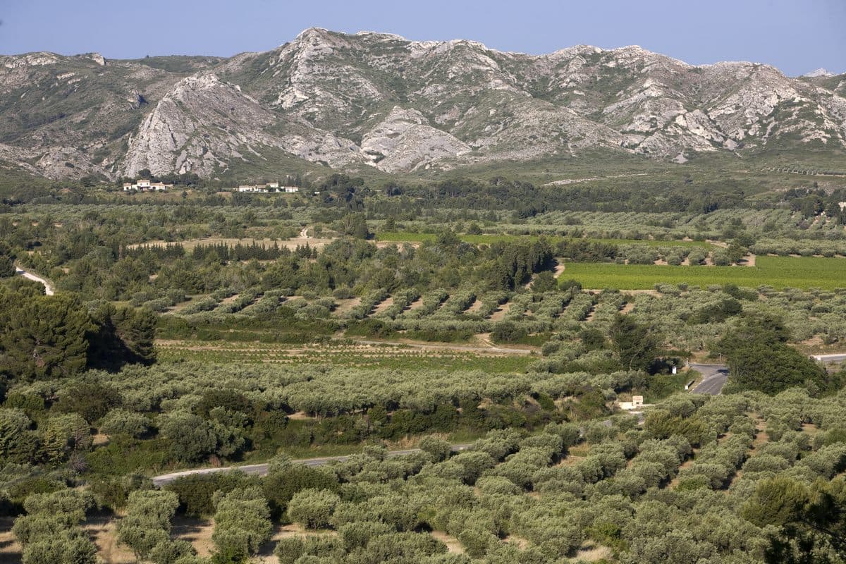 Moulin Castelas