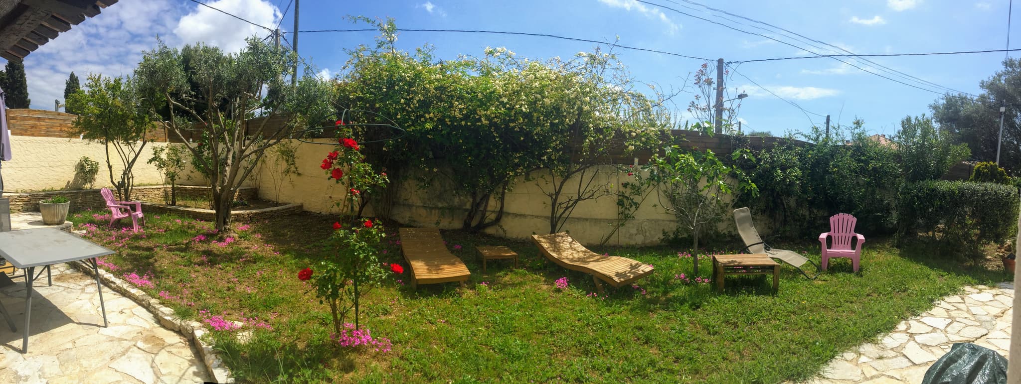 Le jardin