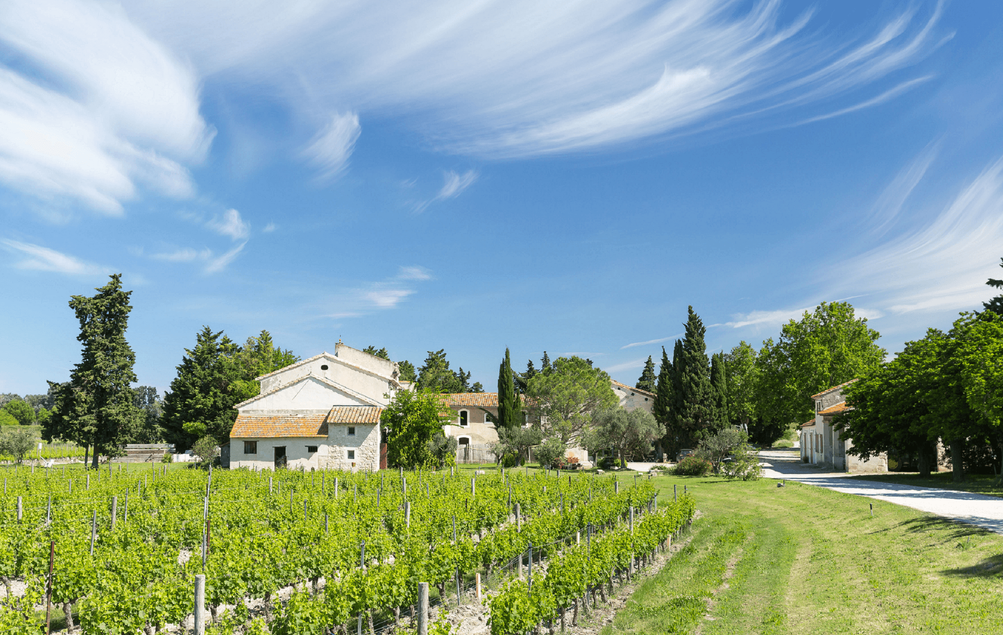 Domaine Mas de Rey Arles