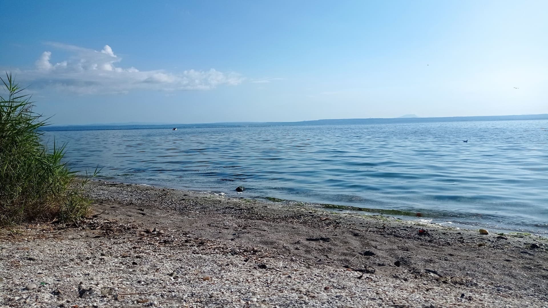 Eco balade autour de l'étang de Berre_Martigues