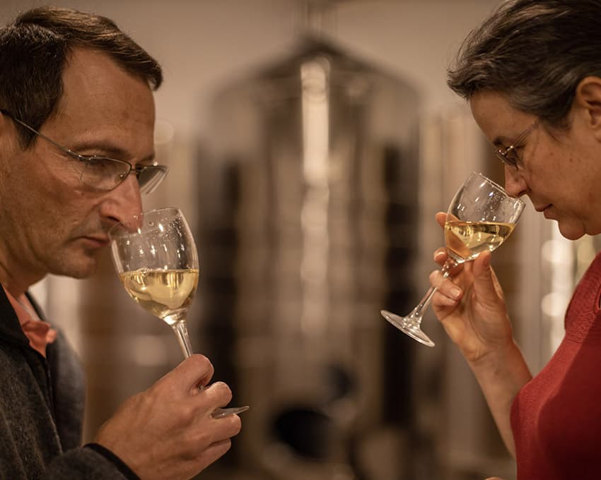 champagneOlivierLassaigne.jpg