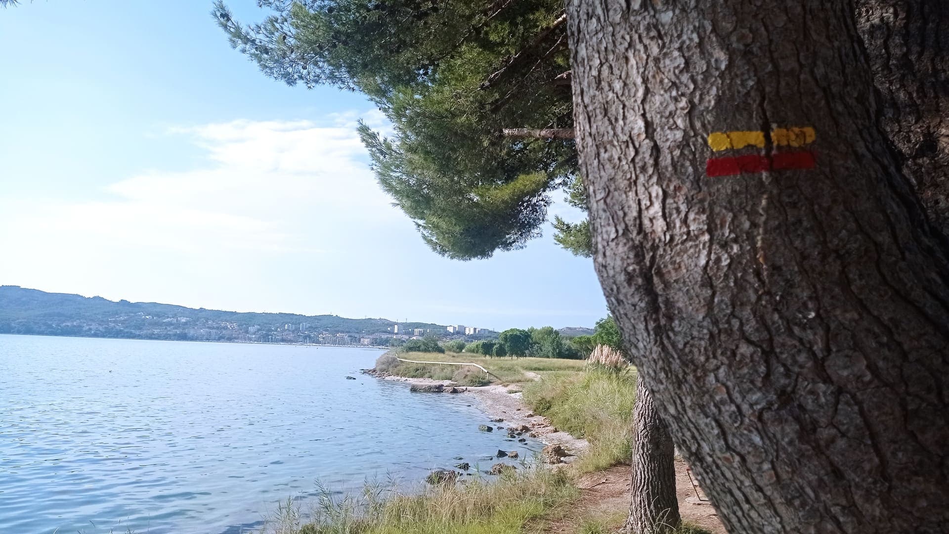 Eco balade autour de l'étang de Berre_Martigues