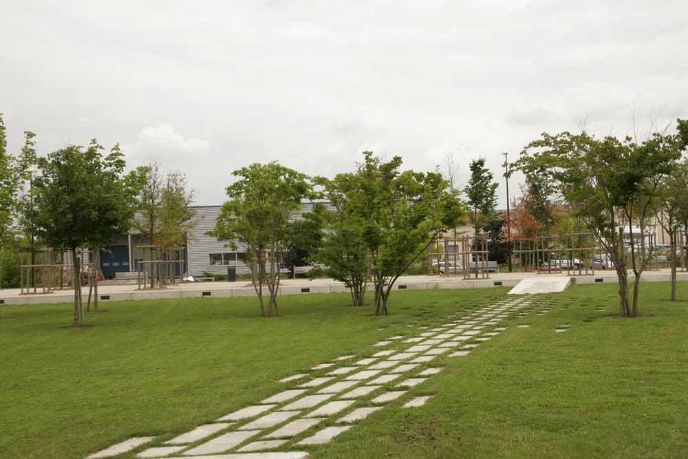 JARDIN DE SONGIS.JPG