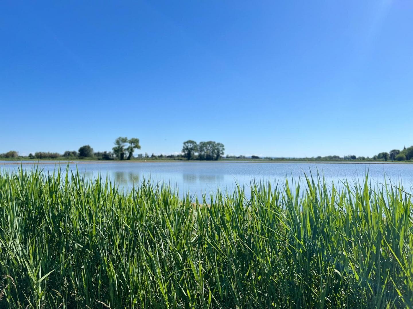 La Parenthèse en Camargue