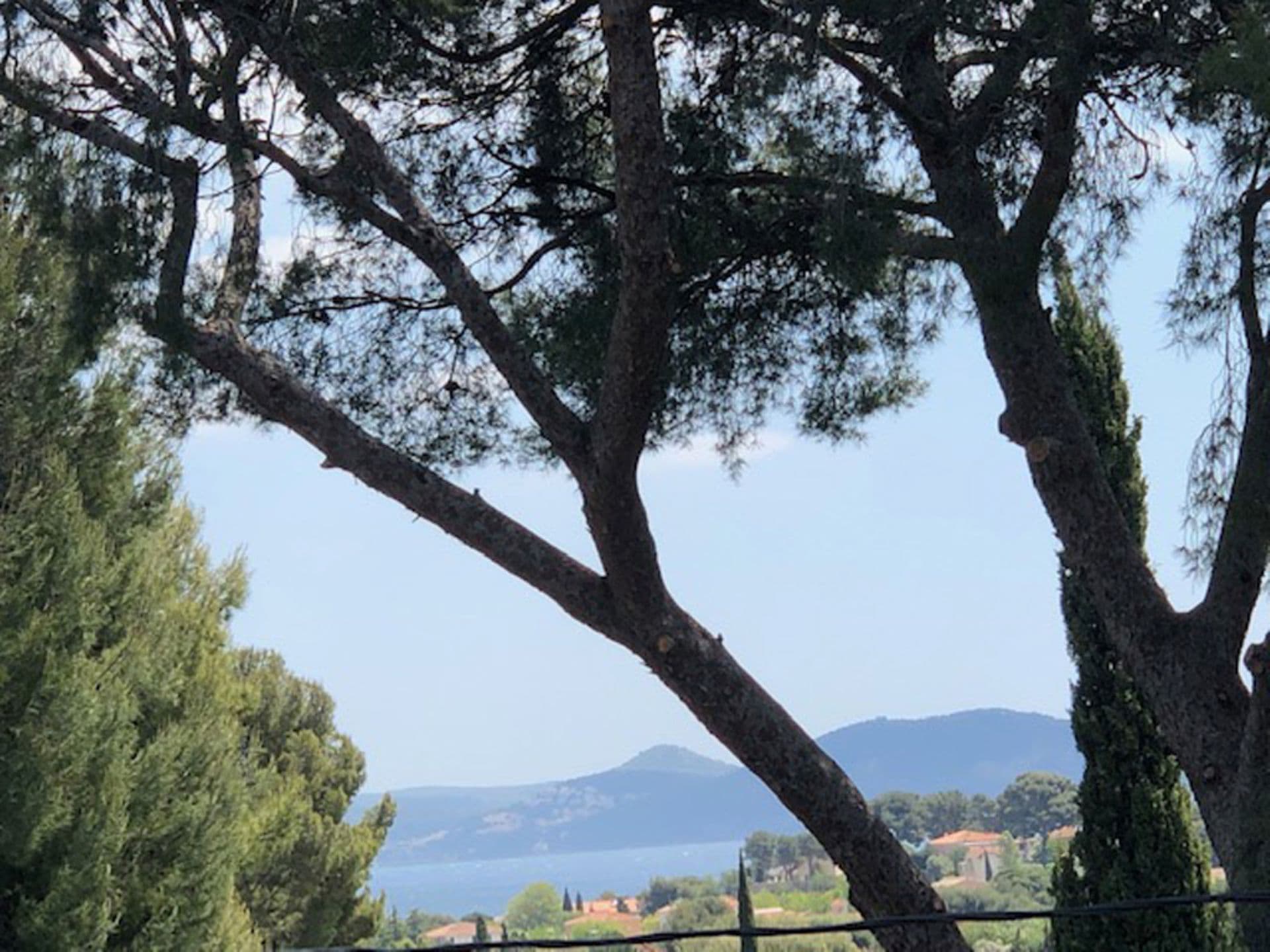 Villa Tigre_La Ciotat