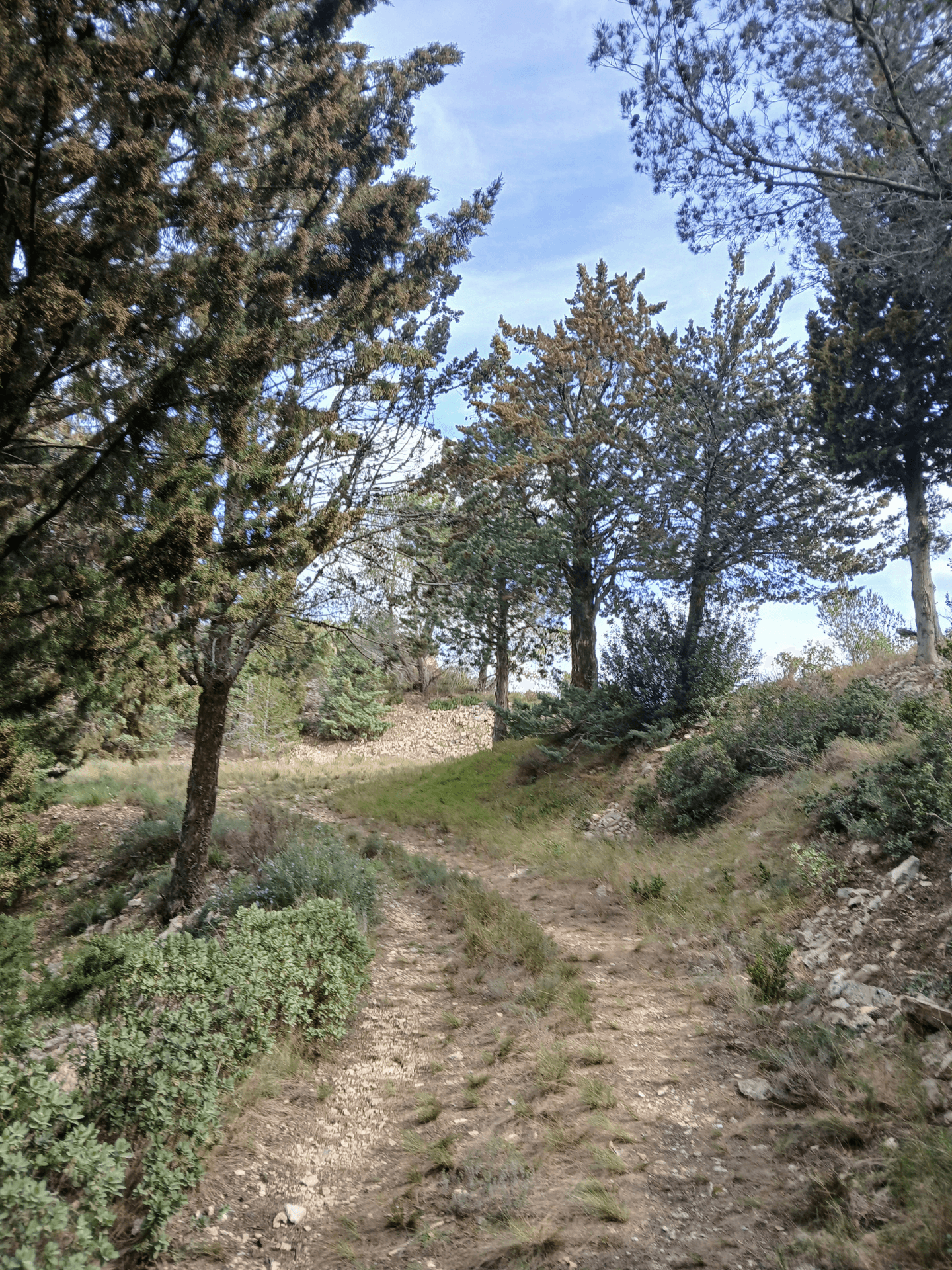 La Lèque_Saint-Rémy-de-Provence