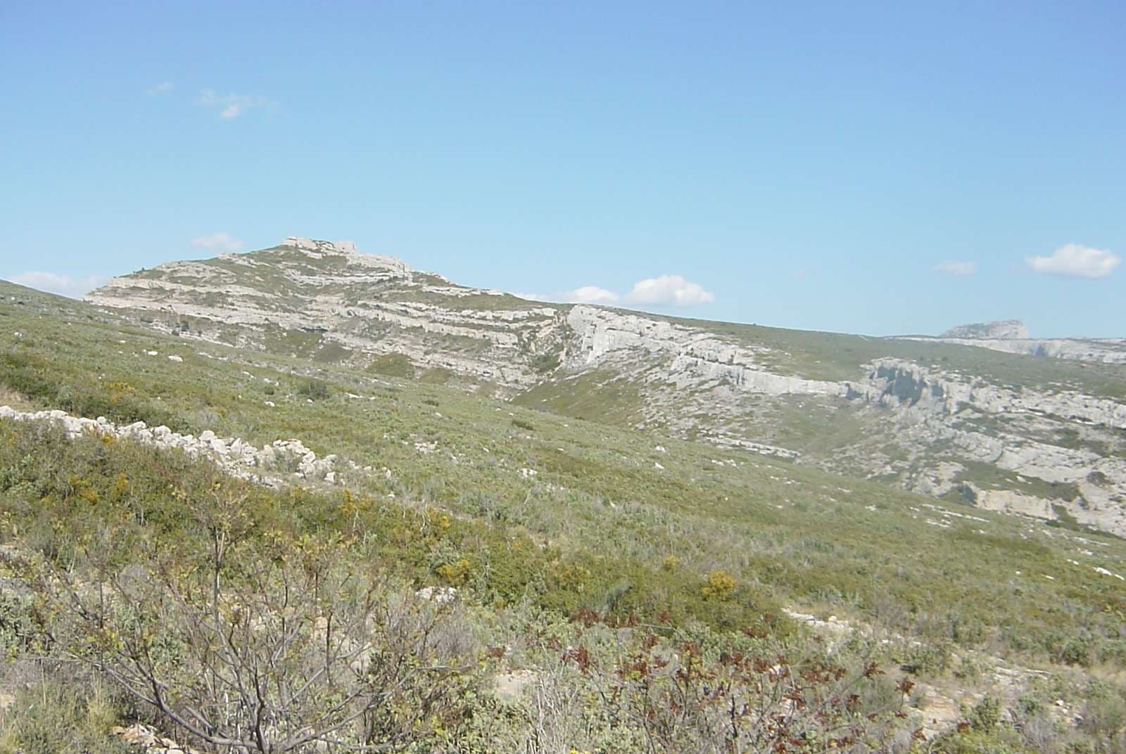 Le Taoumé