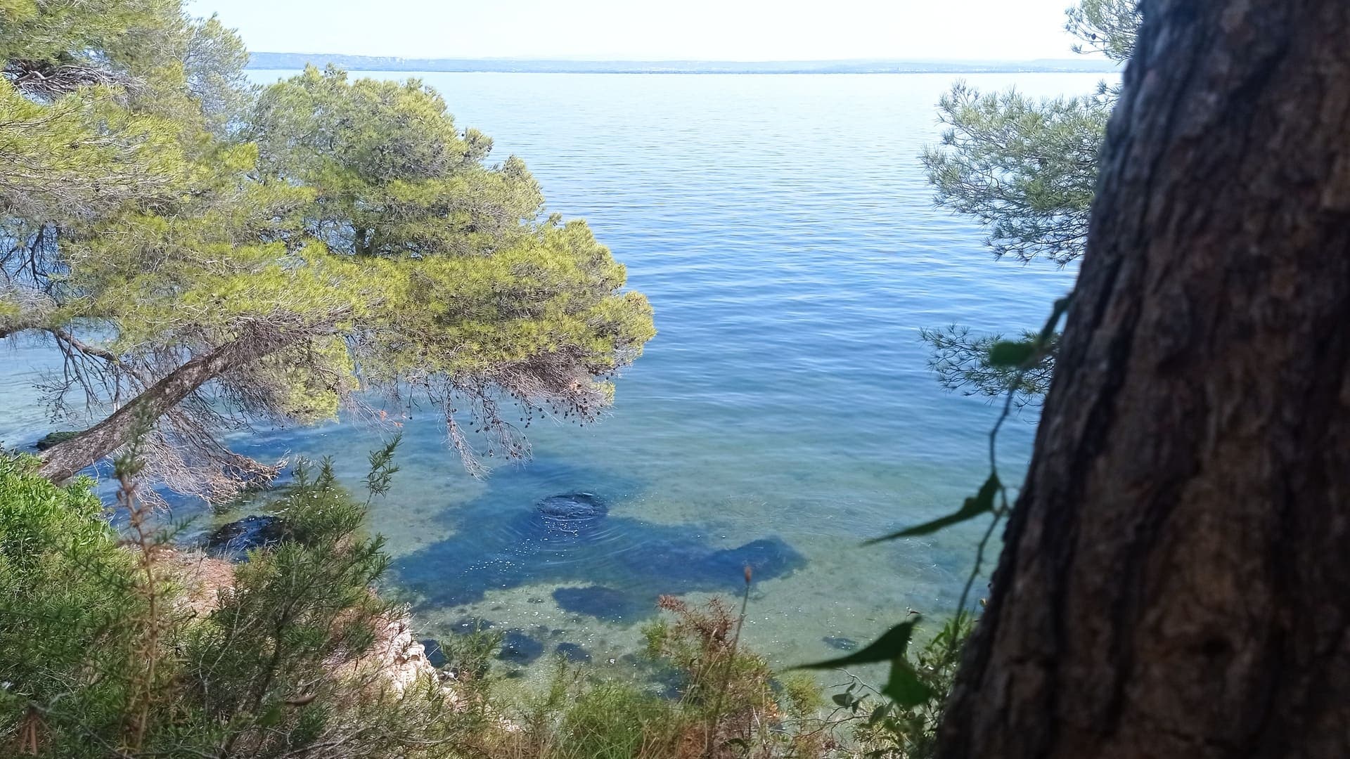Eco balade autour de l'étang de Berre_Martigues