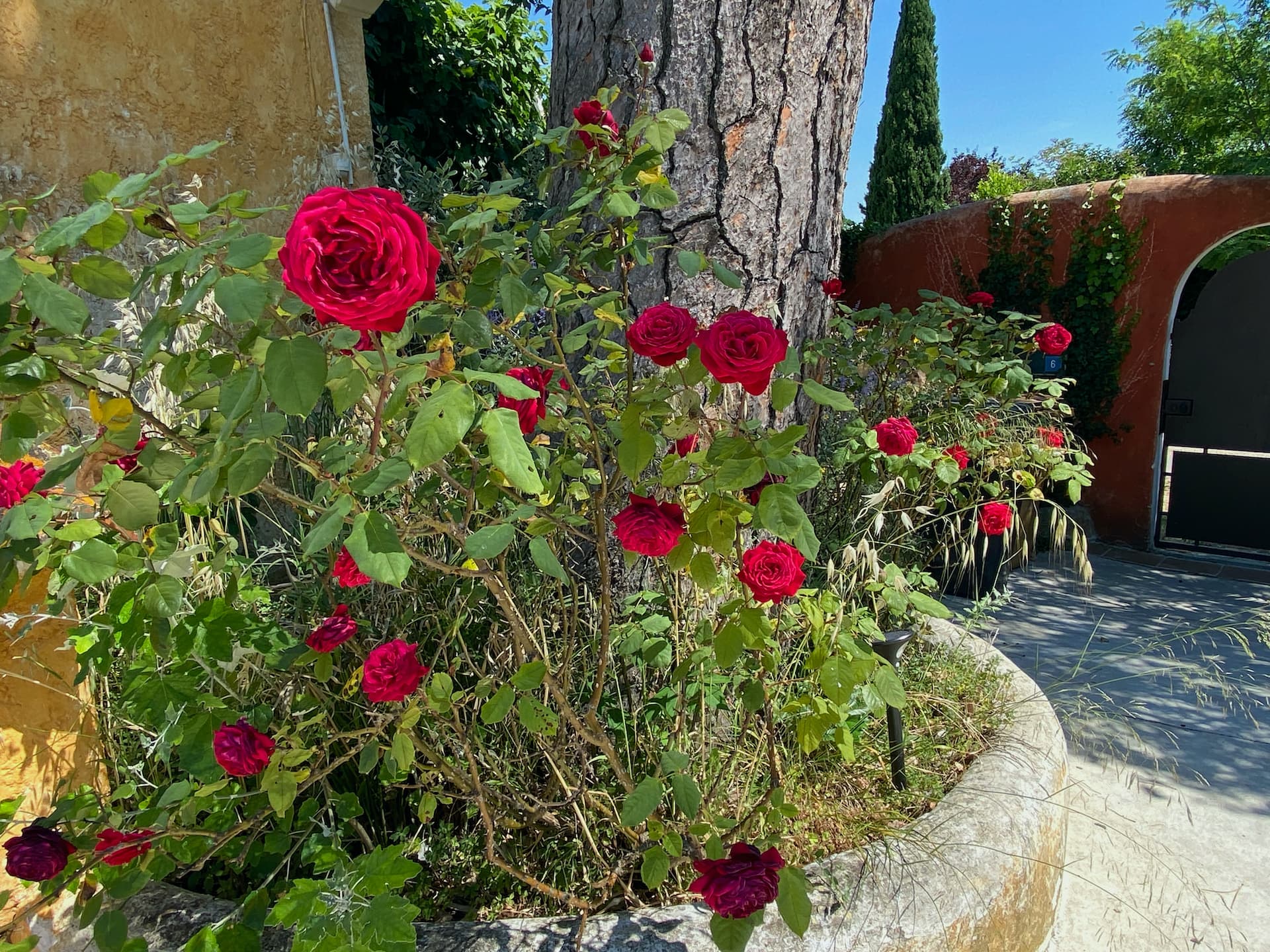 Le Clos de l'Isle - Le Lucien Clergue