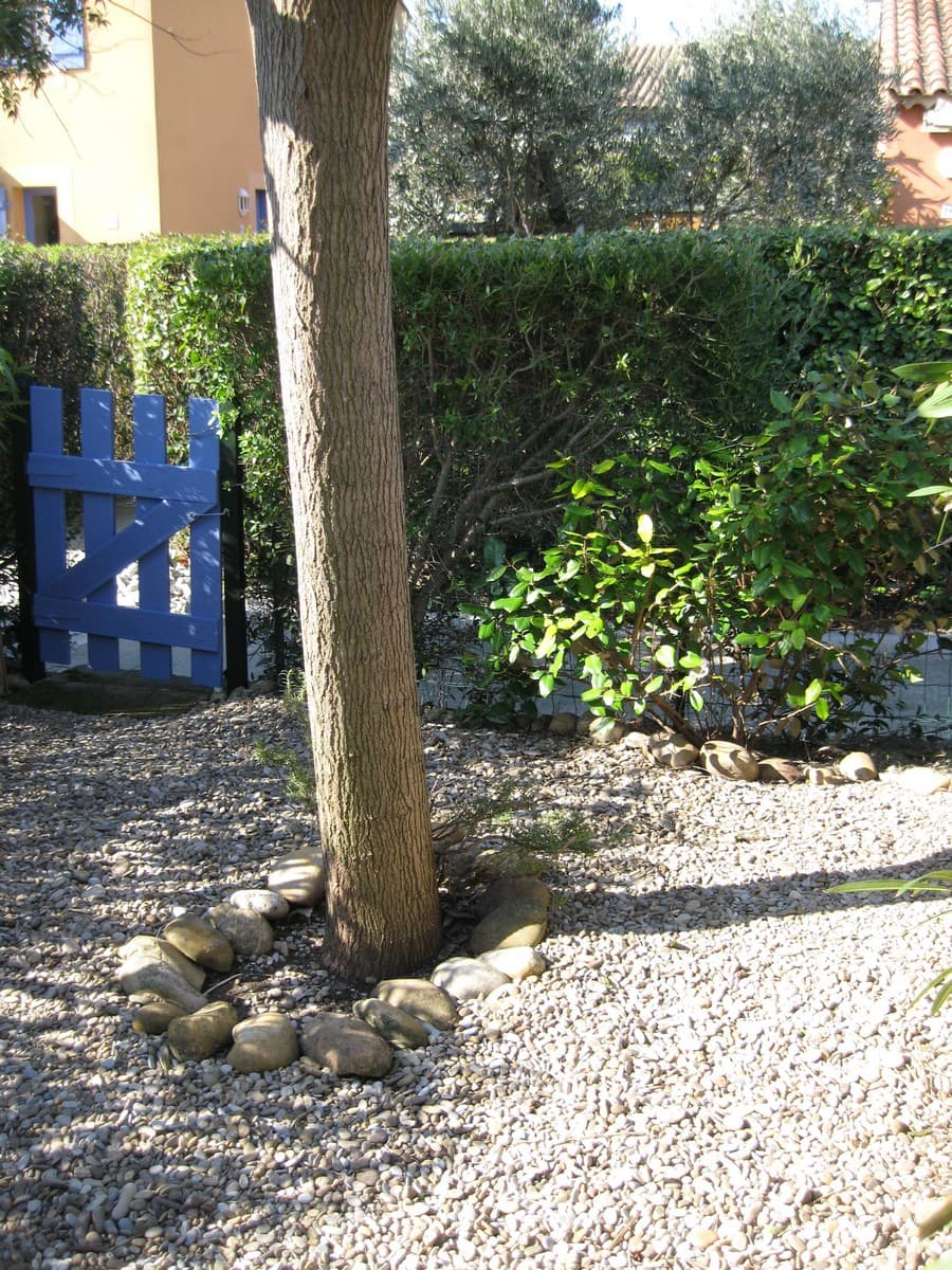 Le Murier Platane Mouries_jardin